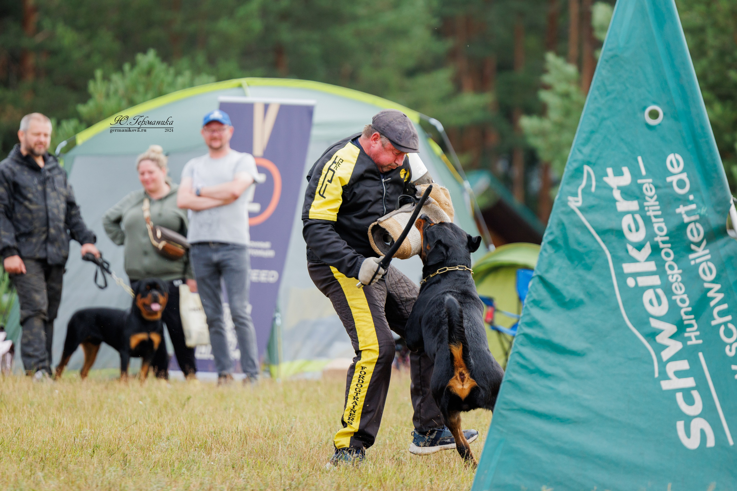 ПК и КЧК ротвейлеры Тверь 6-7.07.2024. Фотограф-анималист Юлия Германика