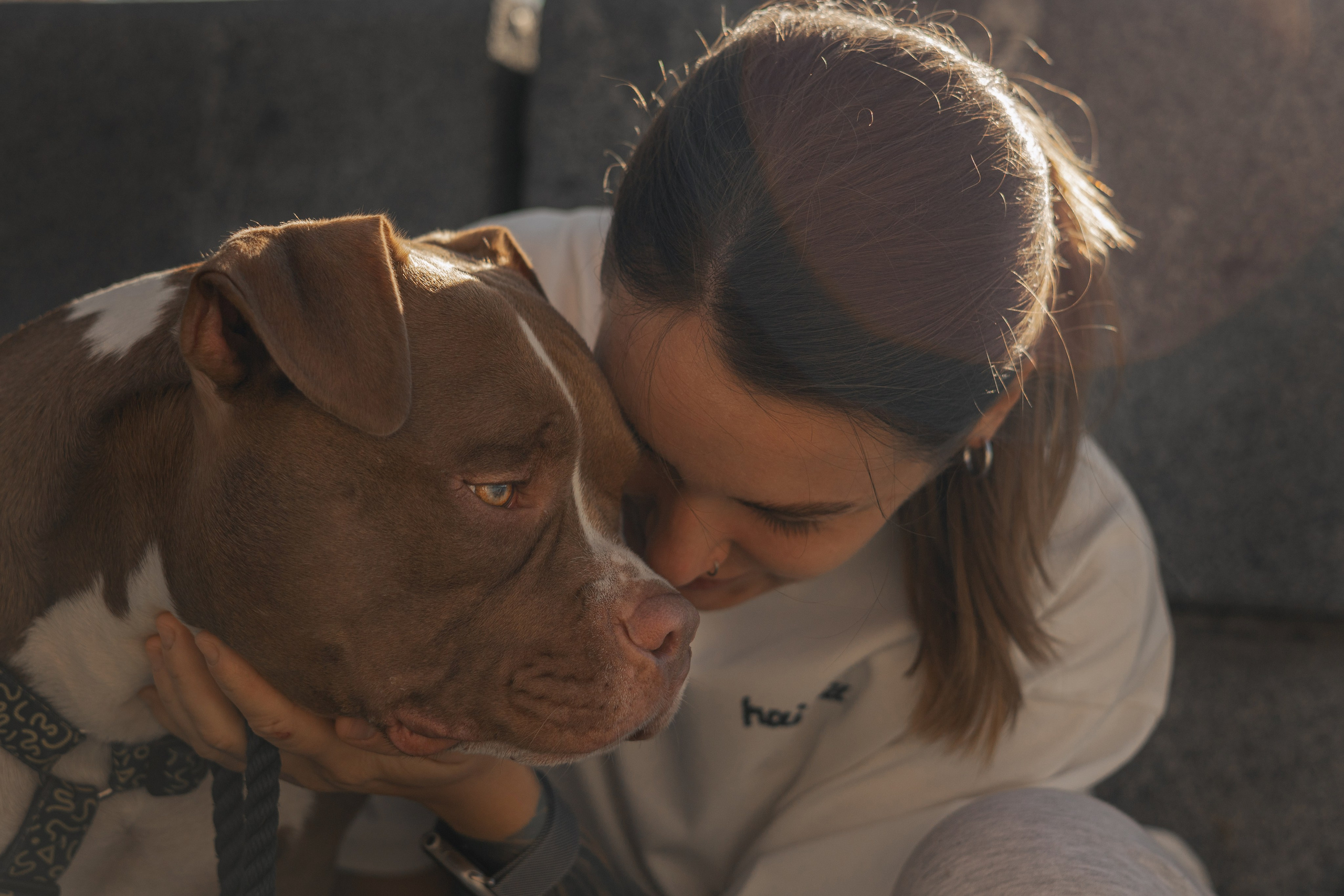 Анжела & Арес. Фотограф — анималист •love-story•|Санкт-Петербург