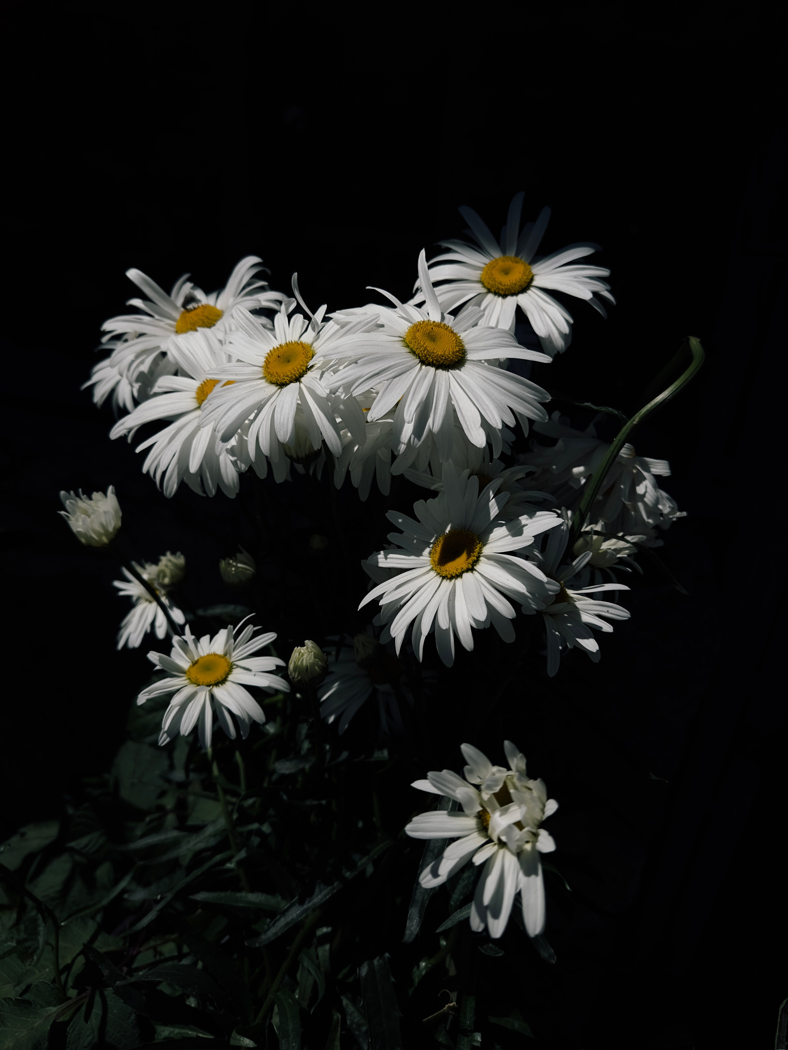 Макро любовь. Смотри, красота!