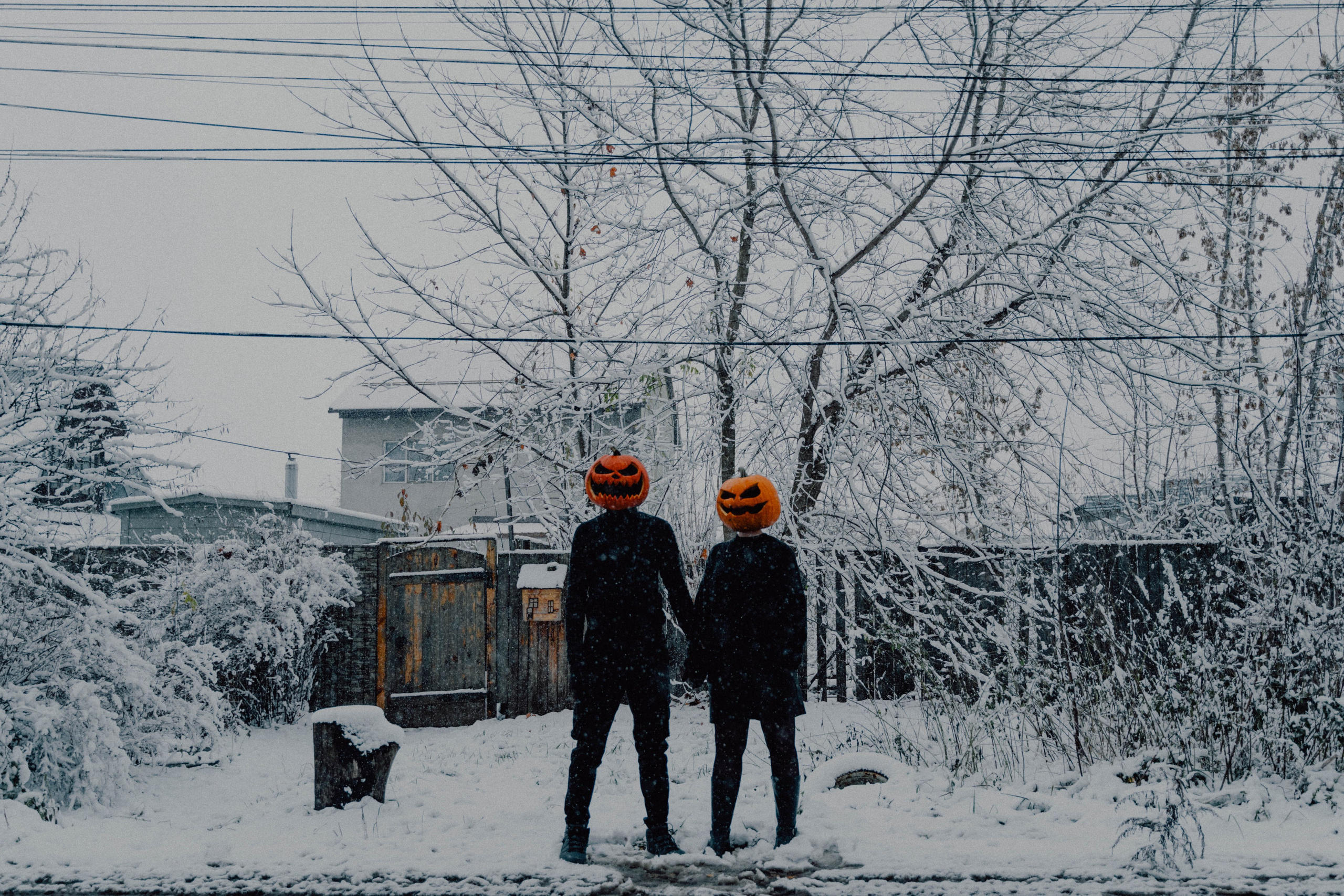 Pumpkin spice. Портретный фотограф в Москве Эмиль Халиков