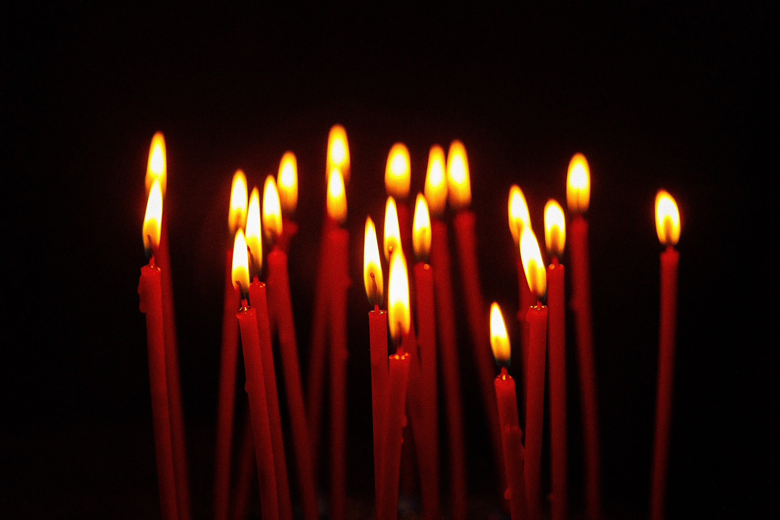 Проект «366»|2024|Фото каждый день. LENA GRACE photographer ||ЛЕНА ГРЭЙС фотограф