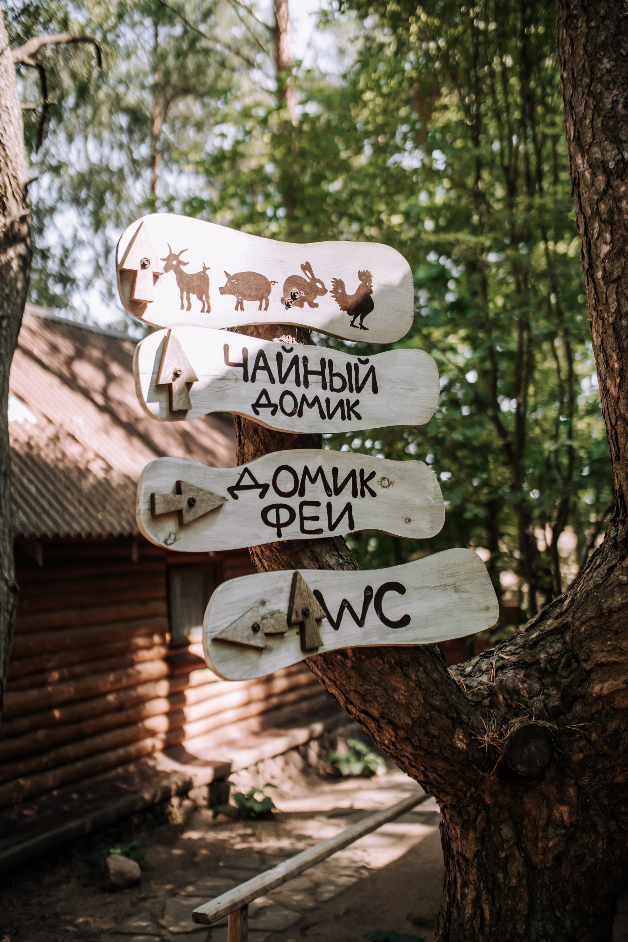 D&D. Свадебный и семейный фотограф Минск Юлия Игнатович