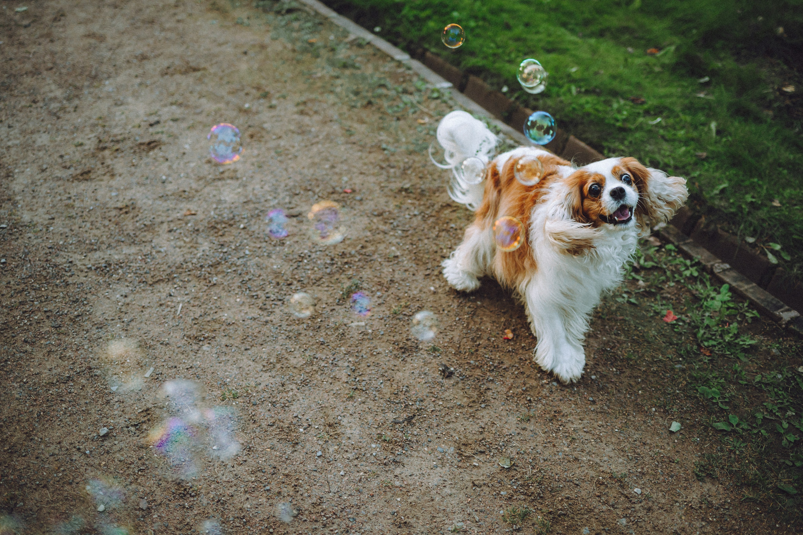 Наташа и Вики