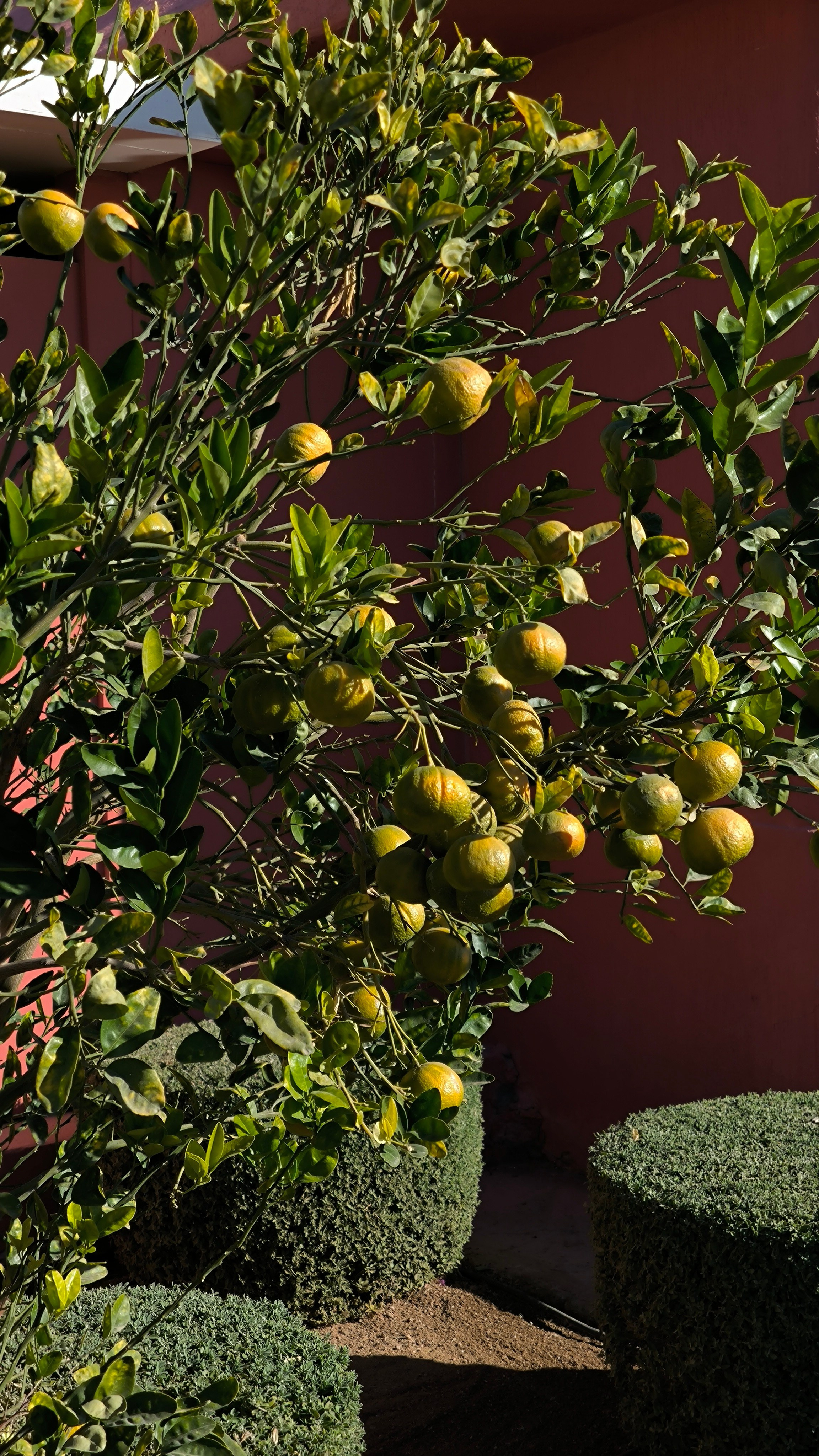 Шарм-Эль-Шейх. Светлана Иванова - профессиональный фотограф