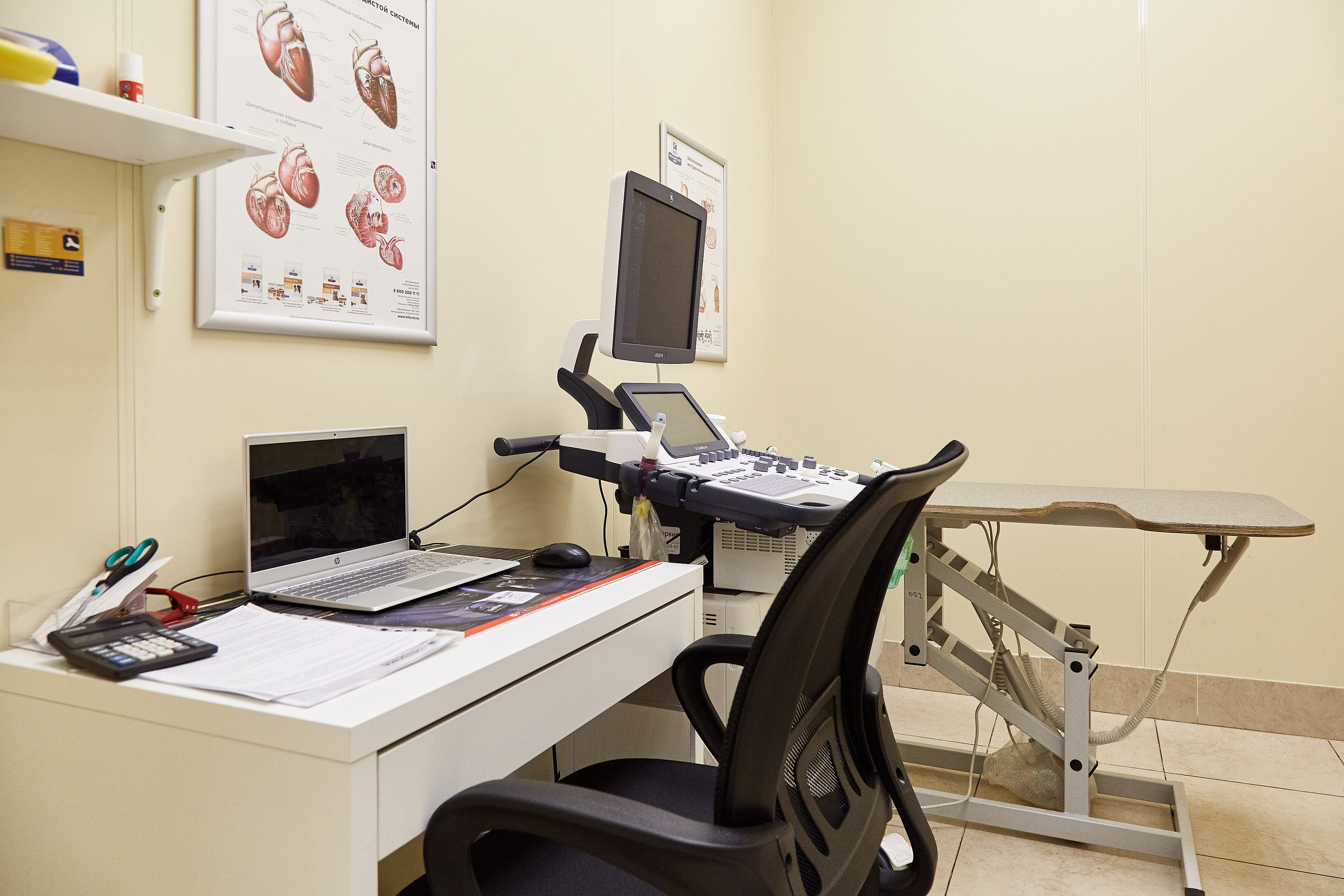 Ветеринарная клиника Косточка на Дальневосточном пр. Фотограф Анастасия Леонтьева Санкт-Петербург