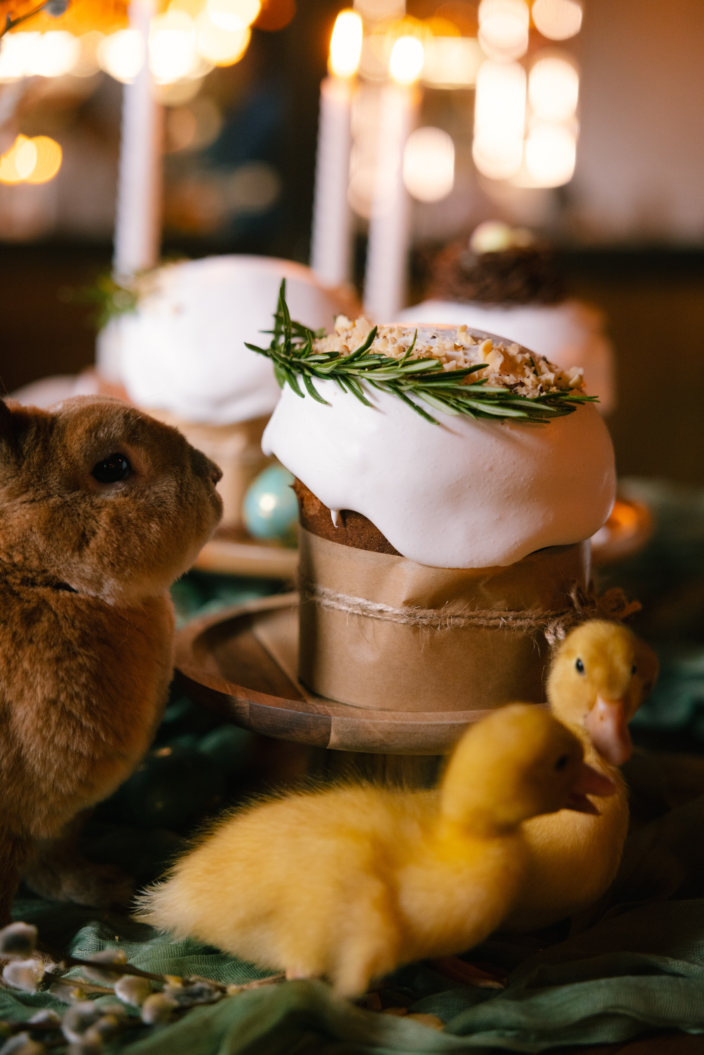 Фуд съемка в Ижевске. Фотограф в Ижевске и Казани Богданов Яков