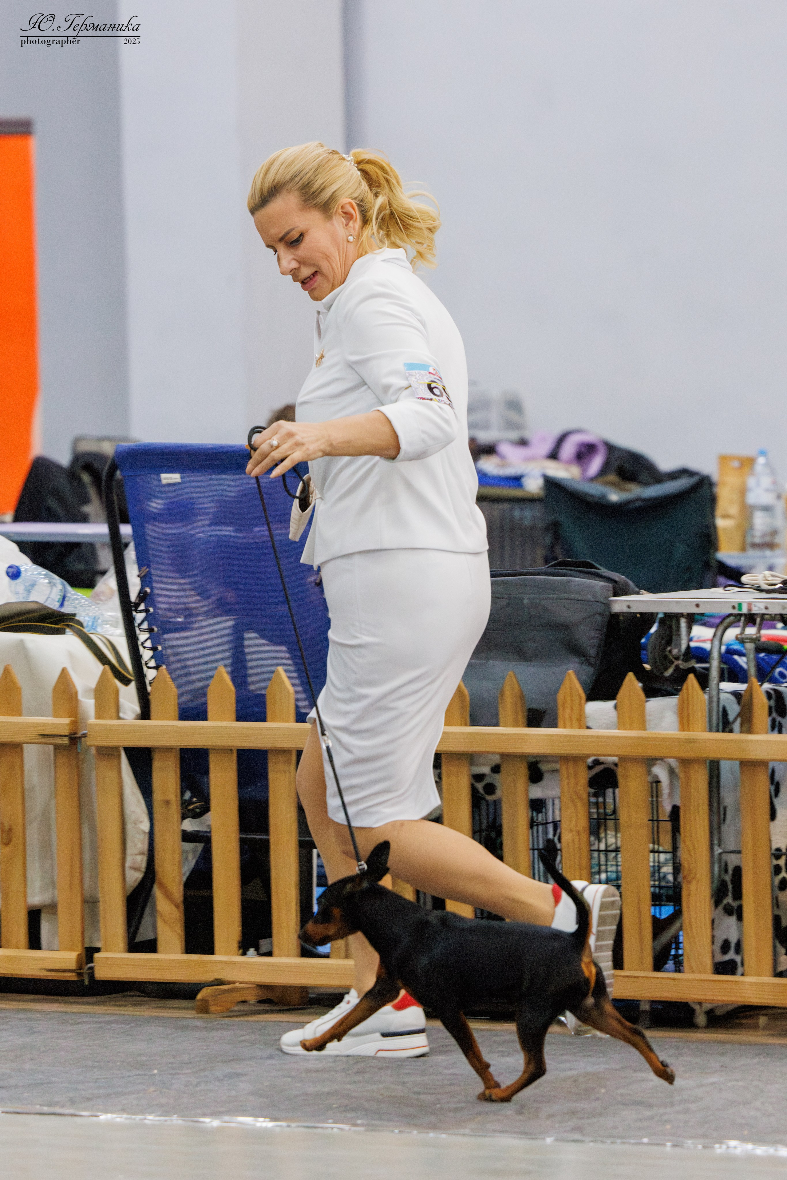 Ереван 2х CACIB 29-30.04.2025. Фотограф-анималист Юлия Германика