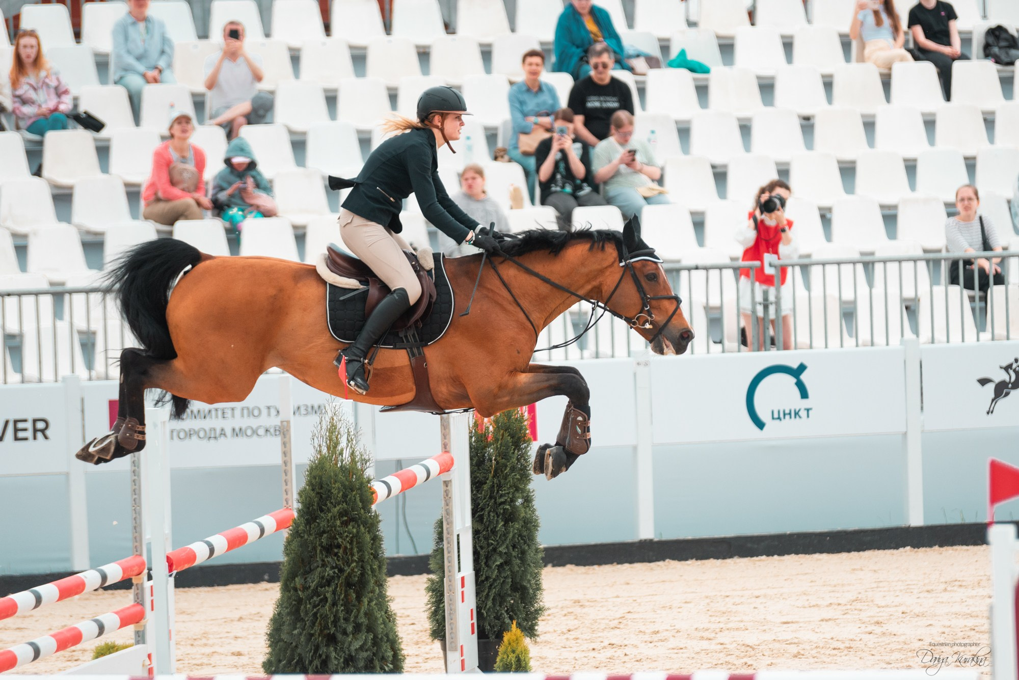 BITRIVER CUP 2023. Конный фотограф Куракина Дарья • Фотосессии с лошадьми