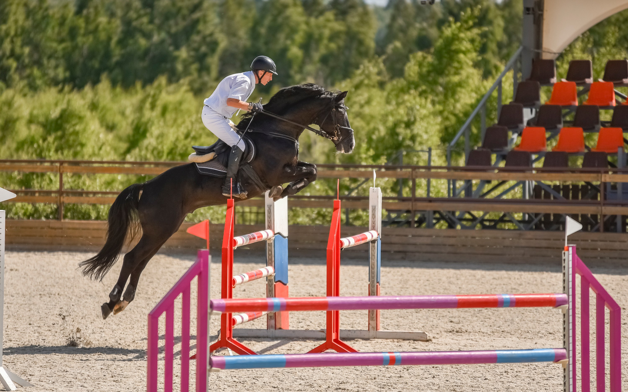 Репортажная съемка конных мероприятий. Конный фотограф из Москвы Ирина Бондаркова
