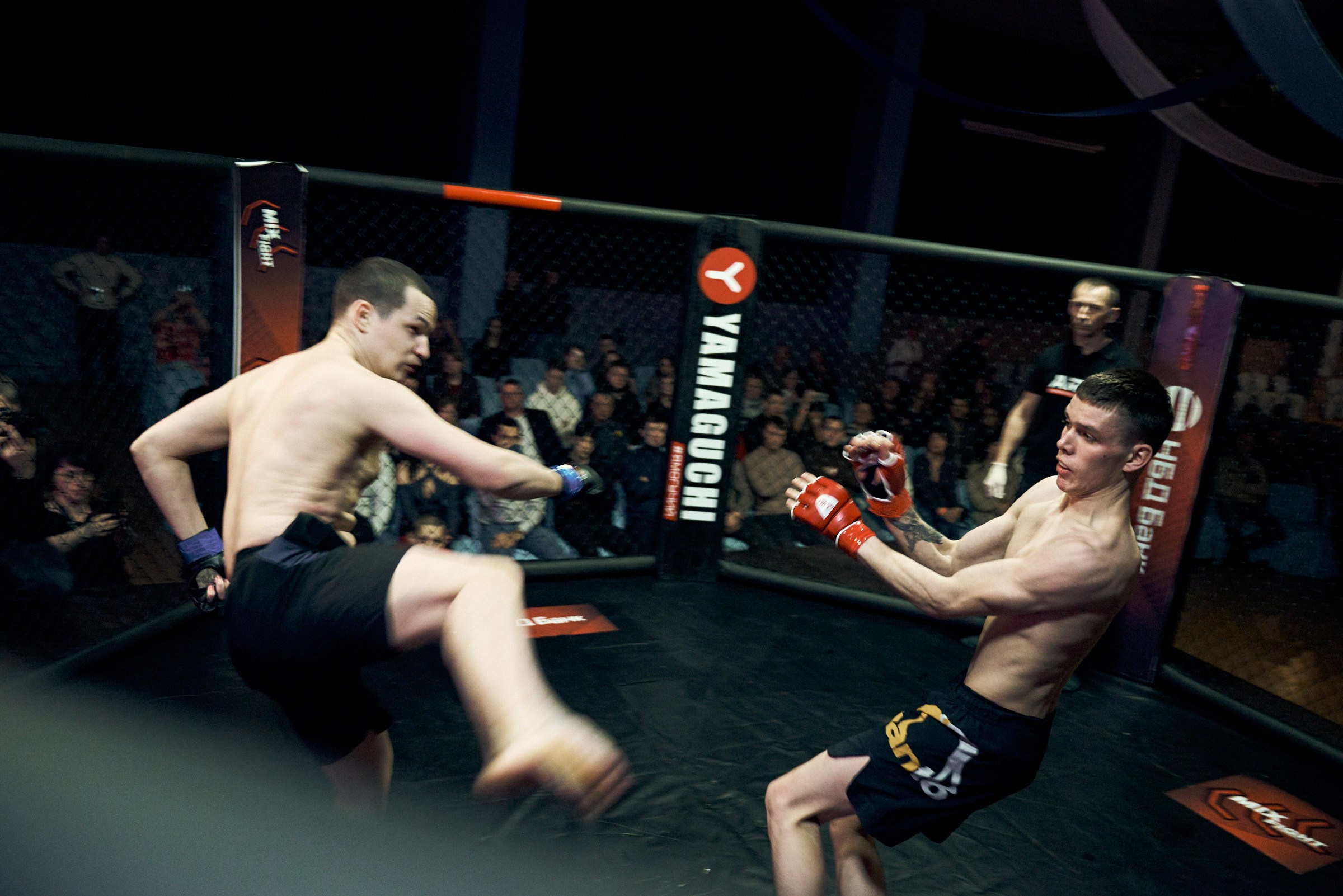 Бои. Маляревич Дмитрий свадебный фотограф