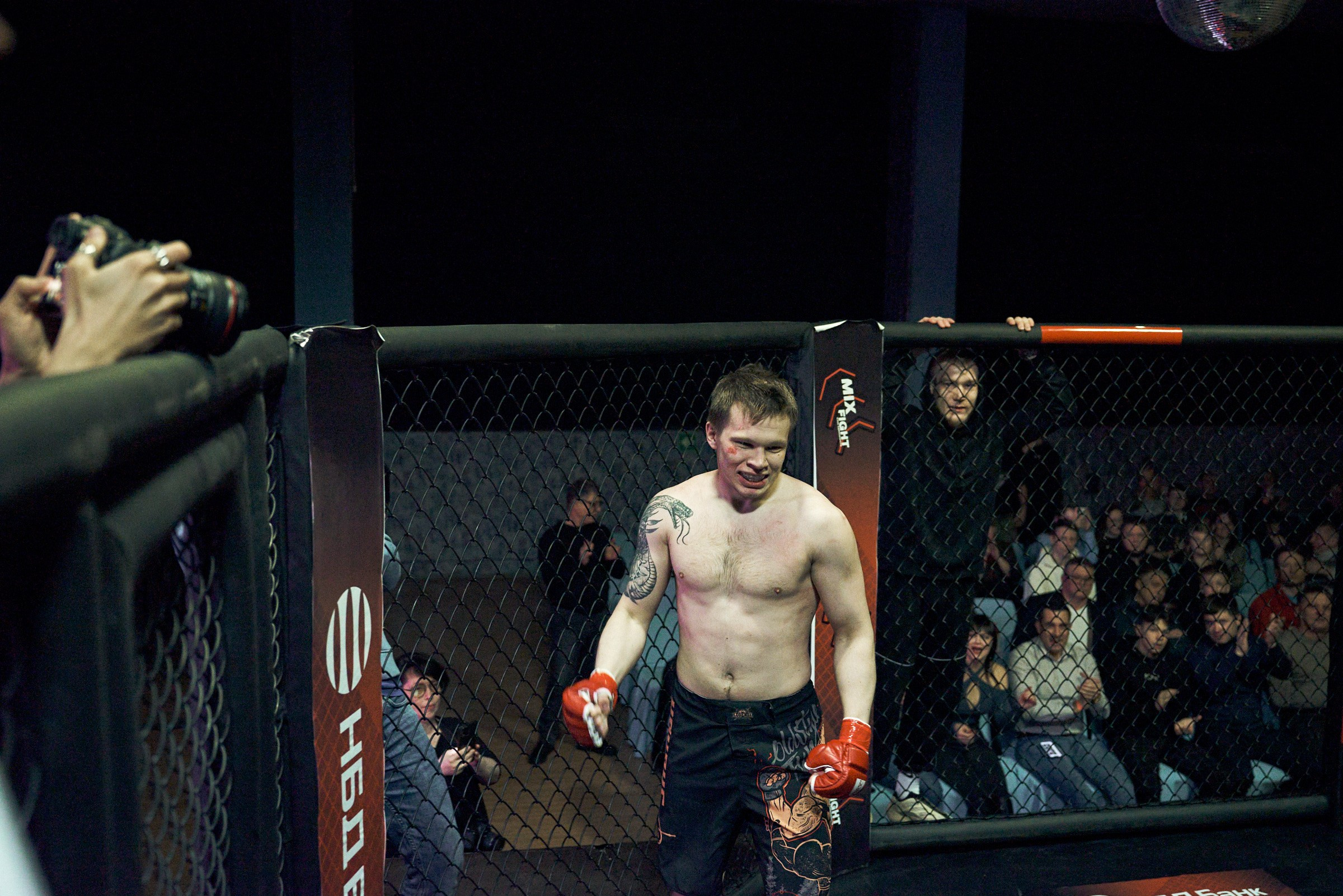 Бои. Маляревич Дмитрий свадебный фотограф