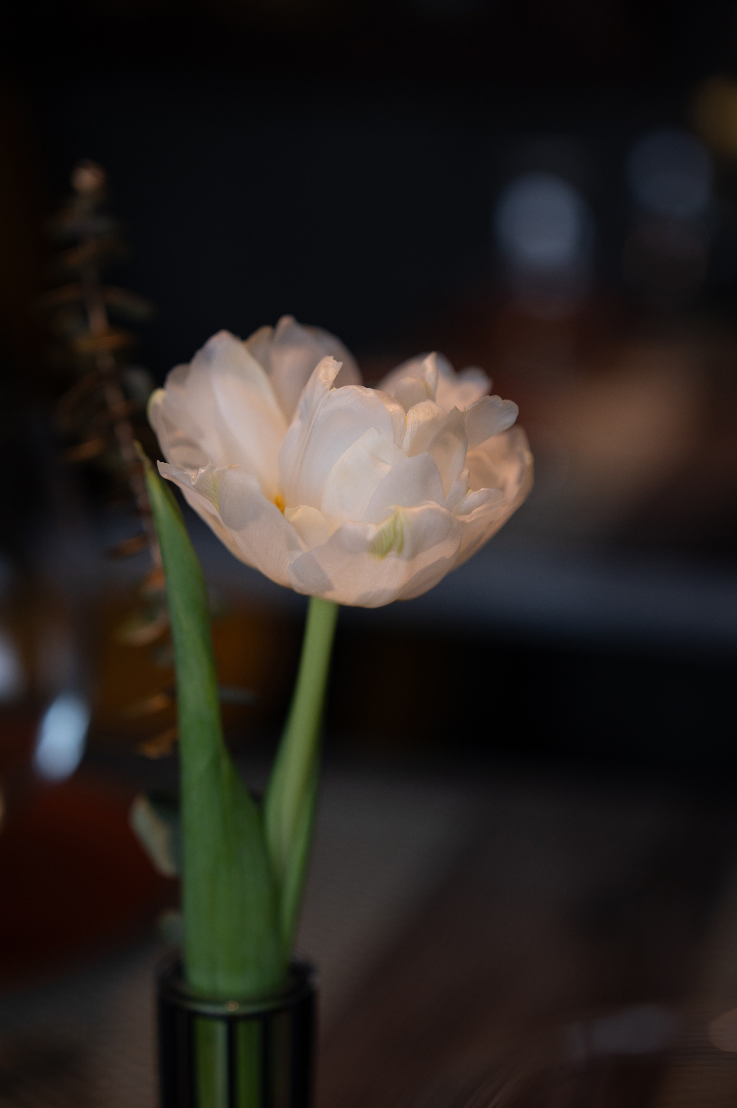 Ранчо. Портретный, семейный фотограф Марина Моисеева