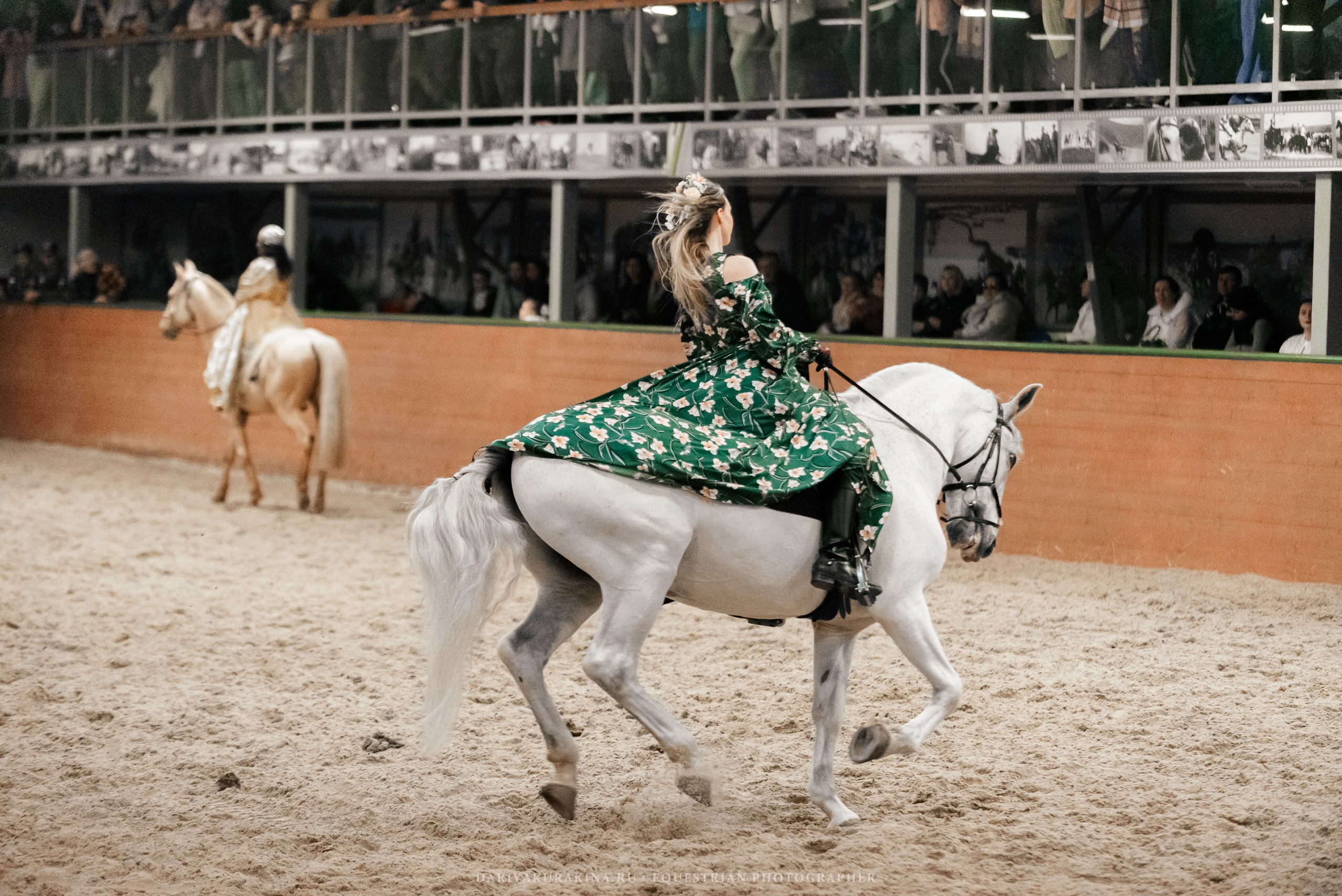 Конное представление «Дыхание Звёзд». Конный фотограф Куракина Дарья • Фотосессии с лошадьми