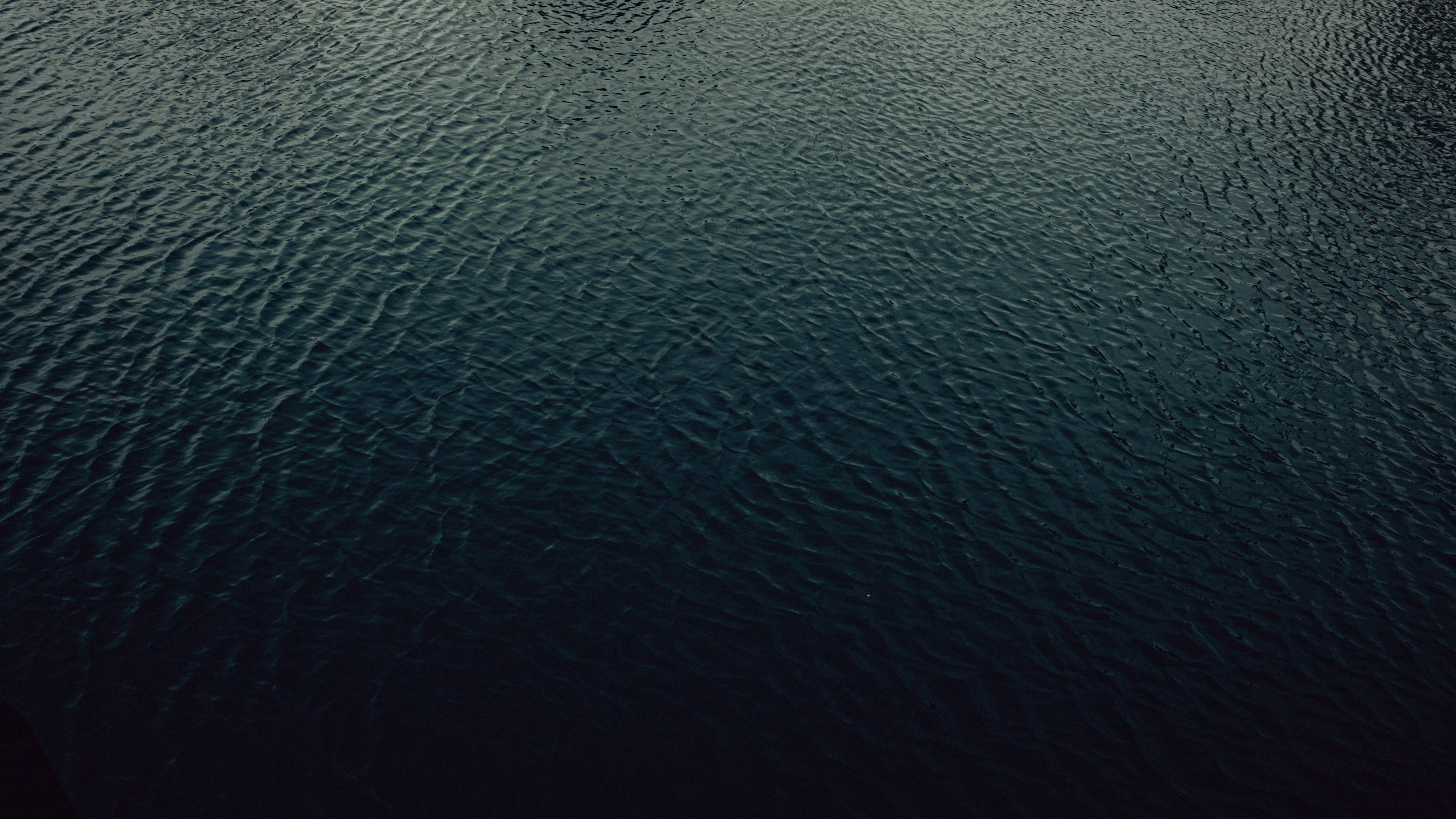 Прогулка в Сочи. Фотограф и Видеограф Анапа, Новороссийск, Краснодар. Алина и Женя