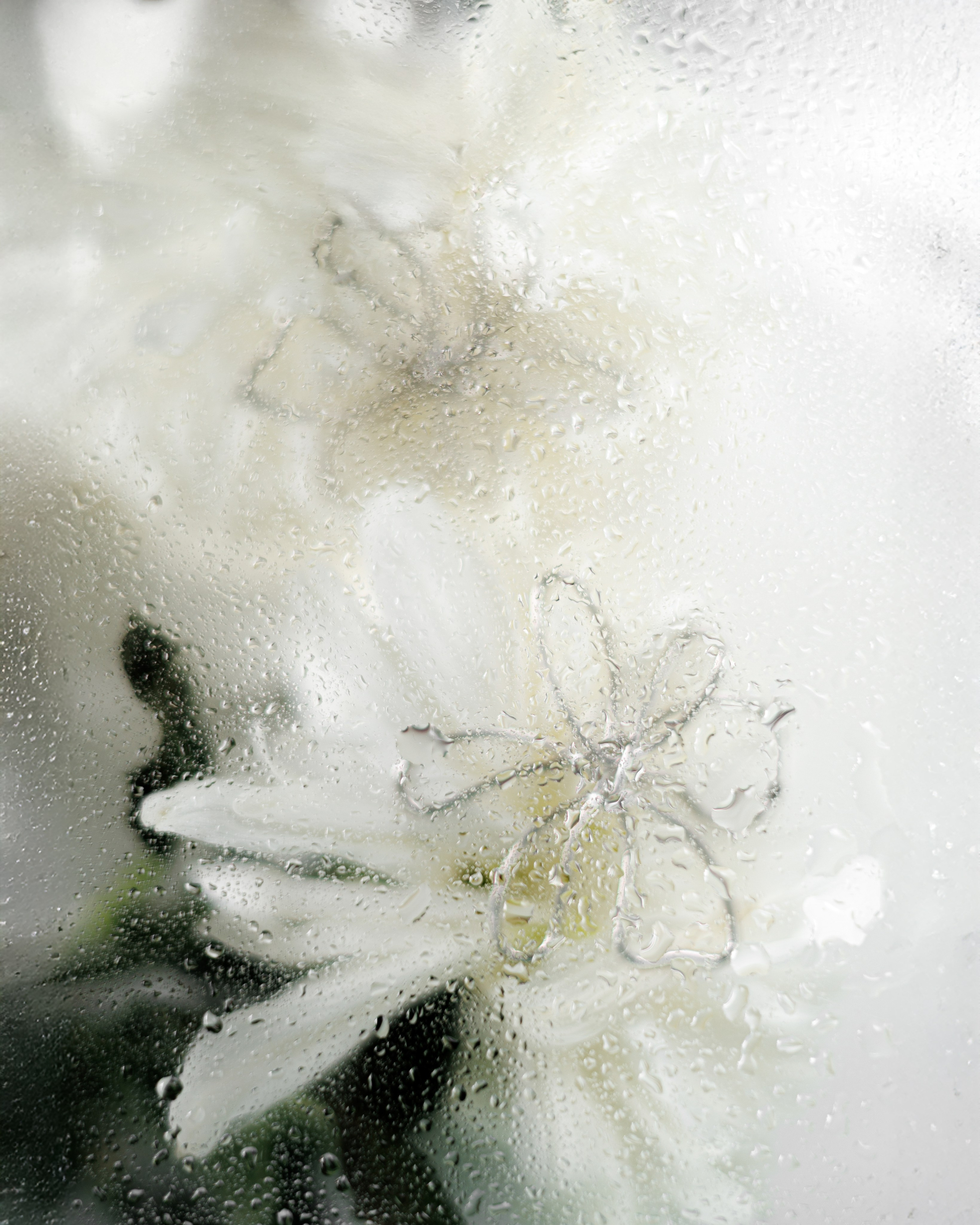 Предметная съёмка. Портретный фотограф Алина Хаунина