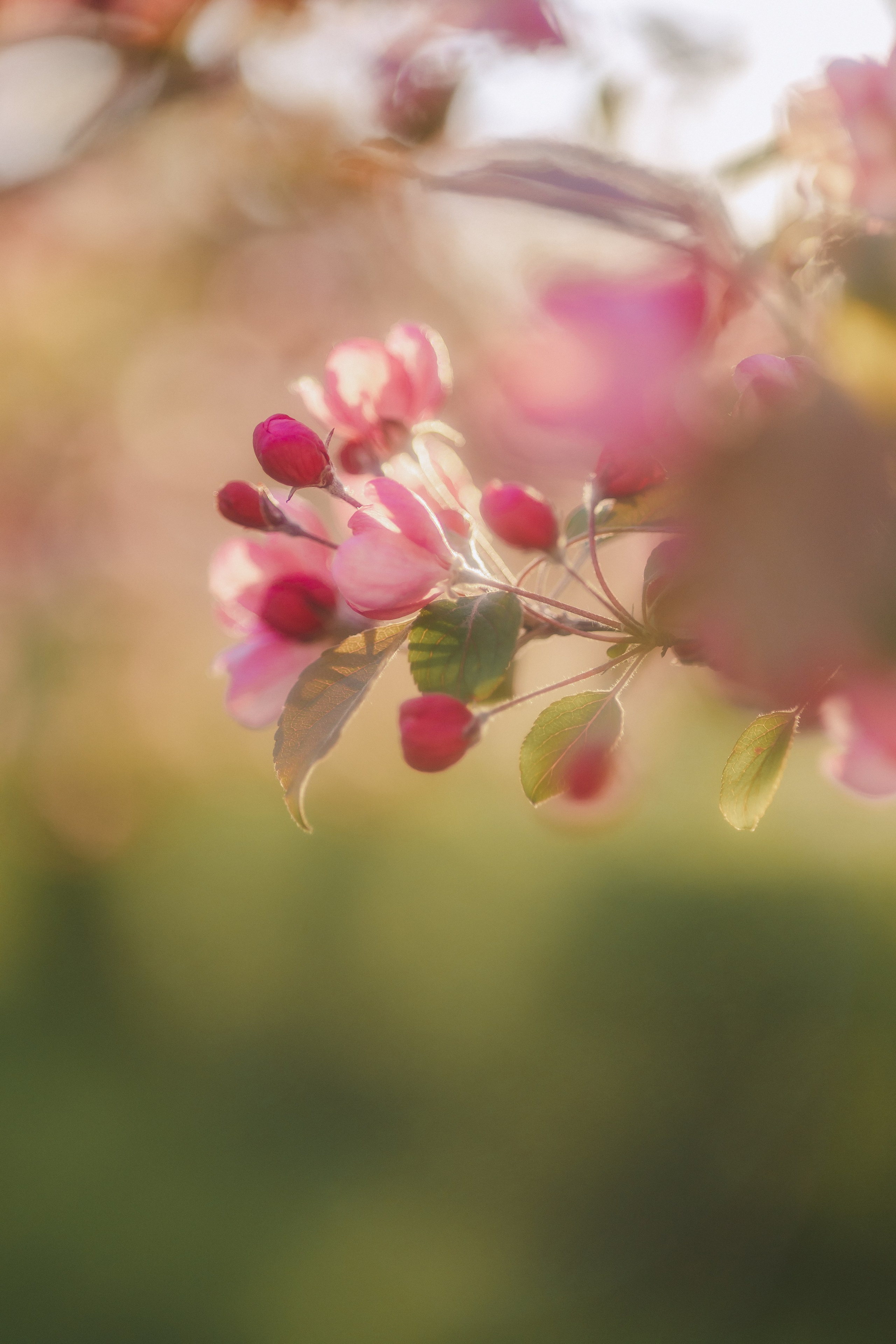 Юля. Фотограф Таганрог Любимая Надя