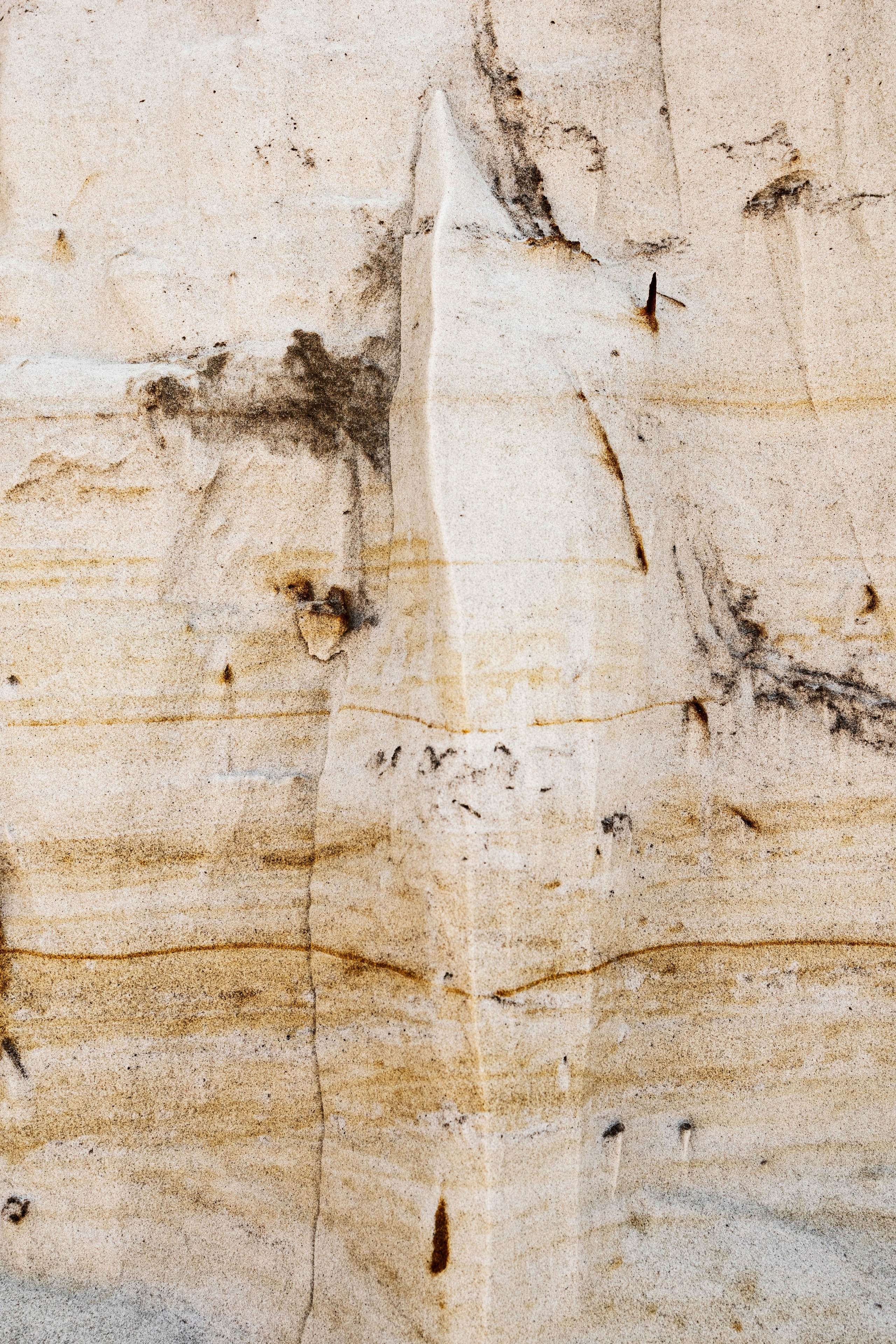 Amphostrea. Anna Atayan Photographer