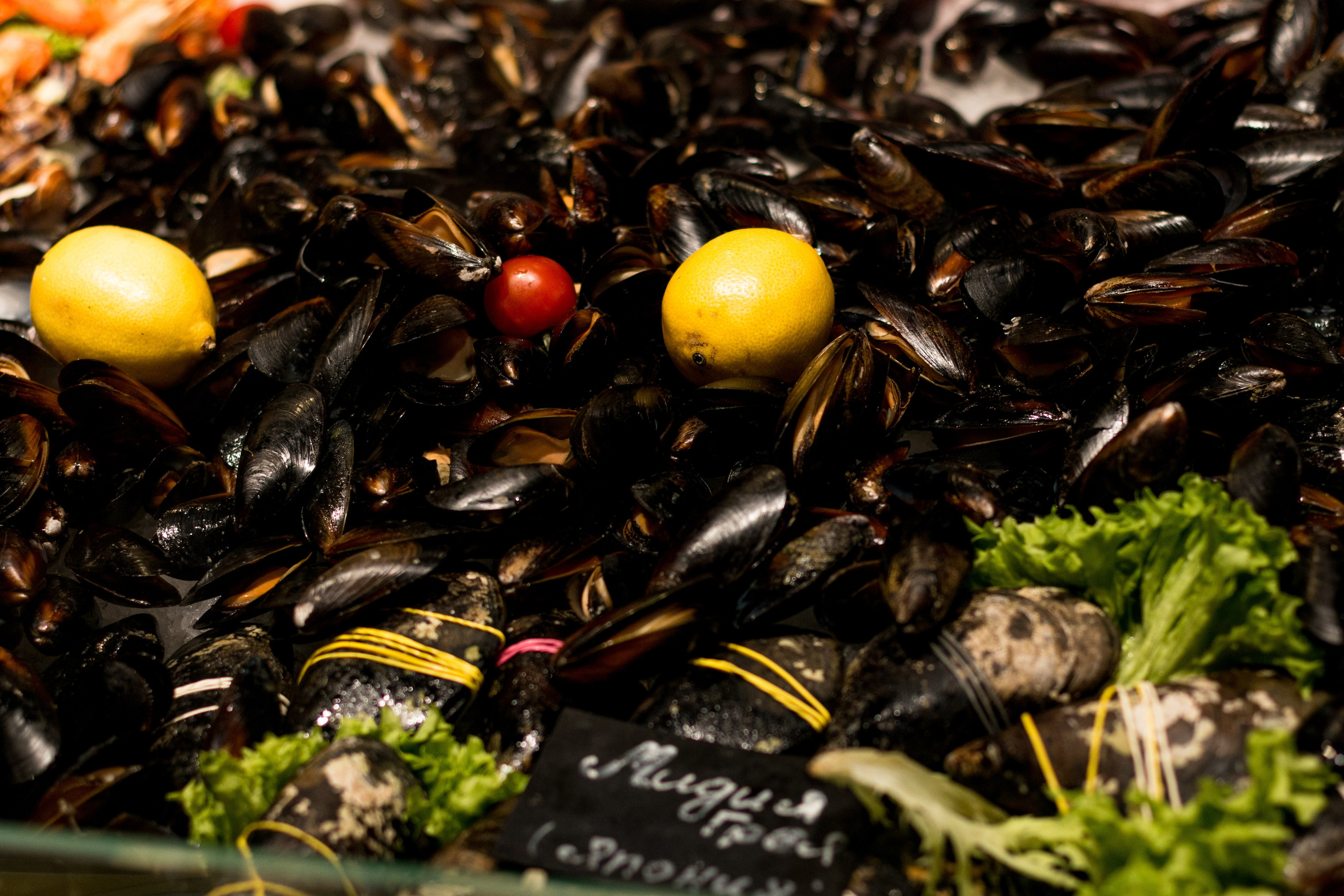 Москва. Фотограф в Сочи