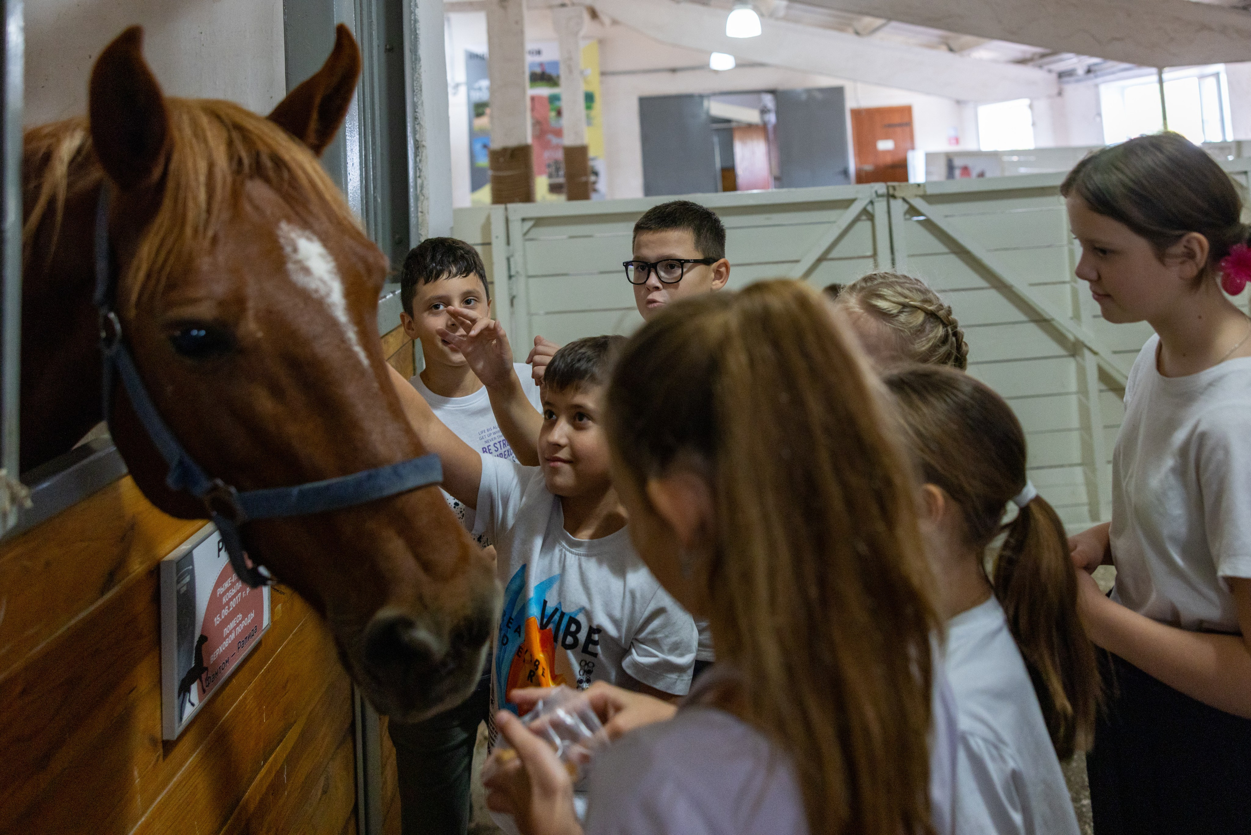 Поездка на поле Кулеково. Фотограф в Туле Крупский АнДРей. Фотостудия «КАДР71» в Туле