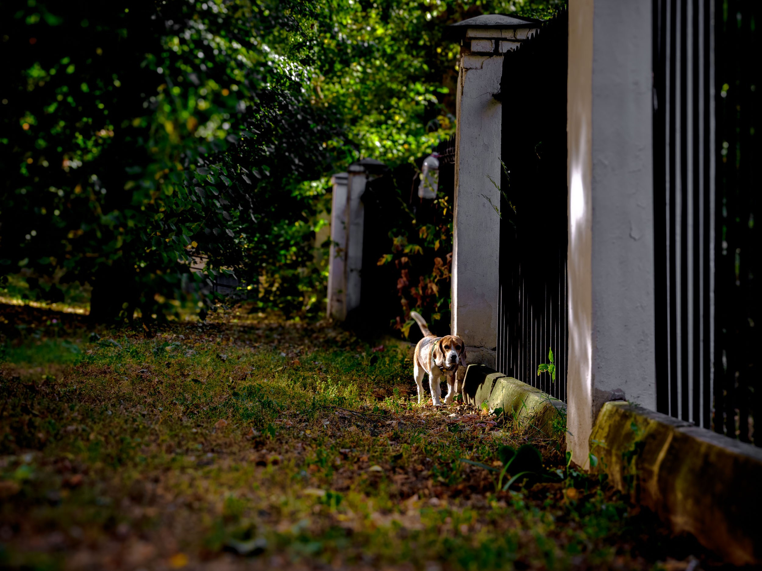 Fujifilm 50sII. Никита Демидов. Nikita Demidov