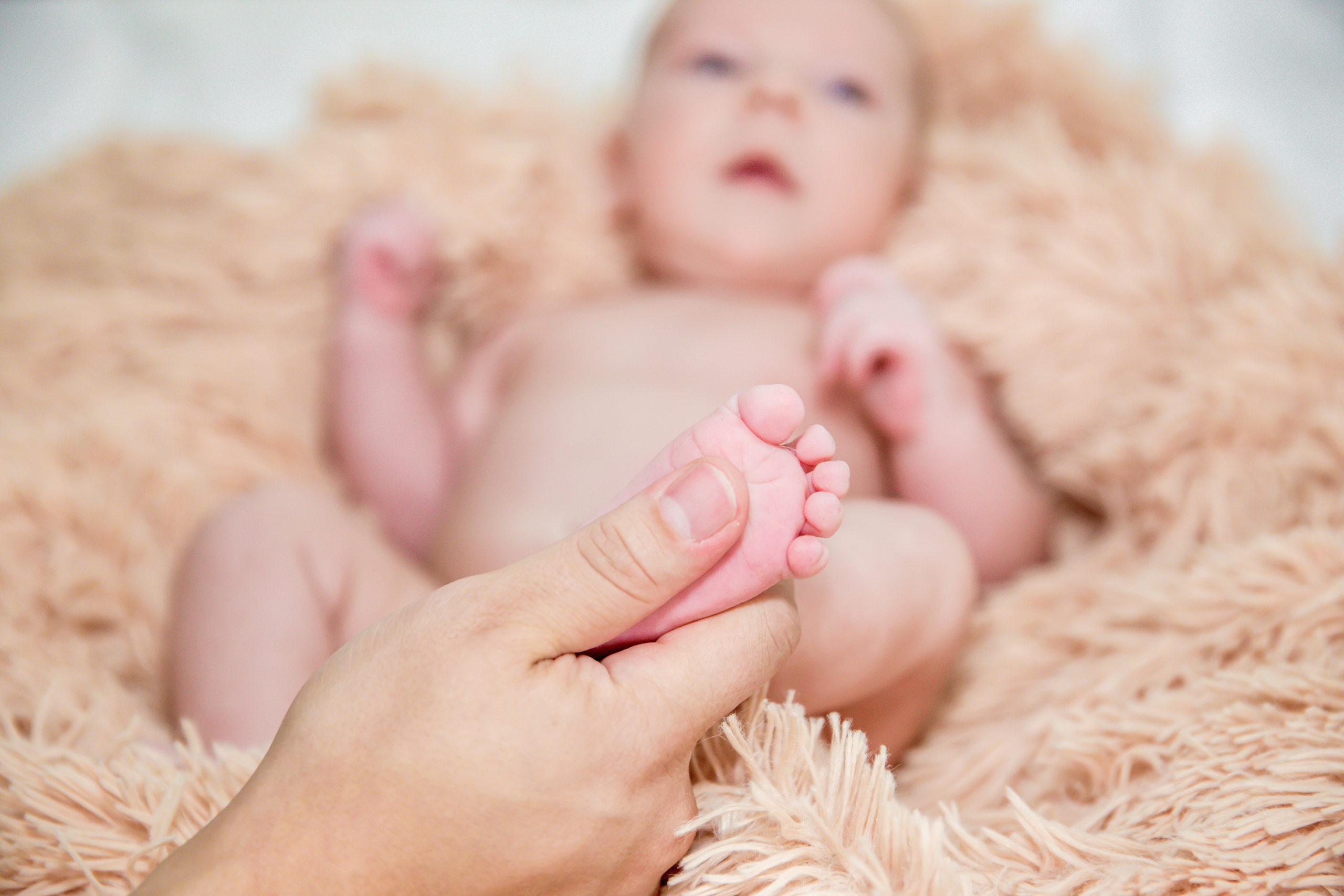 Фотосессия Льва. Свадебный и студийный фотограф в Москве Андрей Сопрано