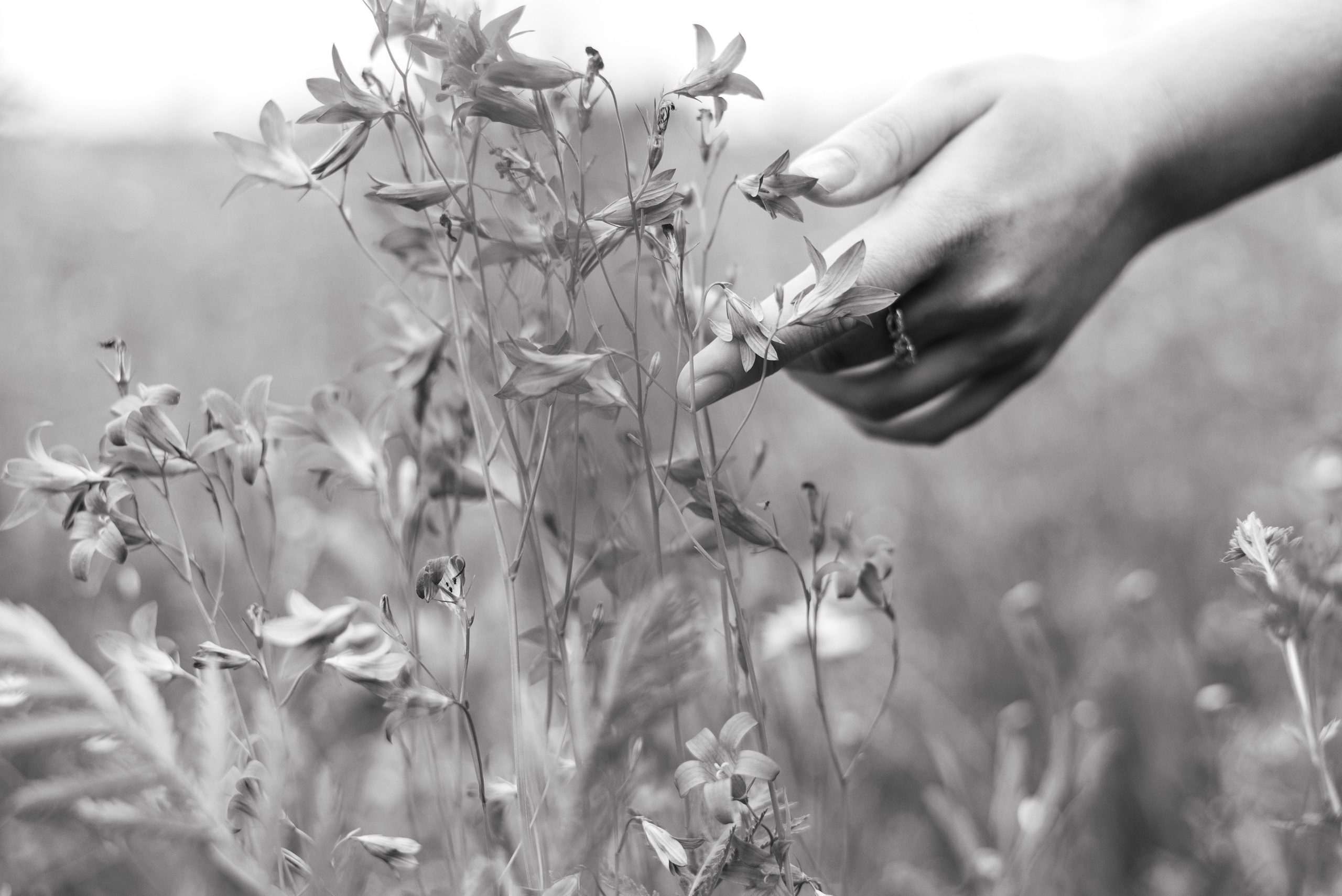 Елизавета. Выпускные альбомы Москва и МО. Школьный и семейный фотограф