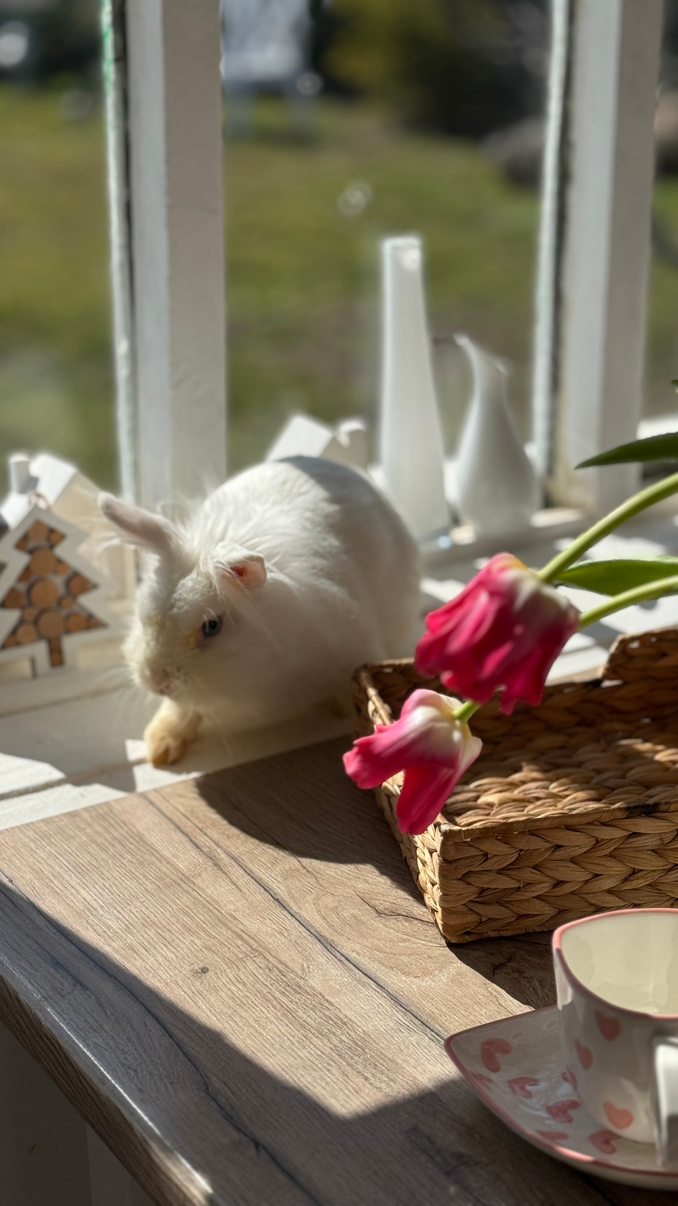 Кухня. Фотостудия Натальи Забродской