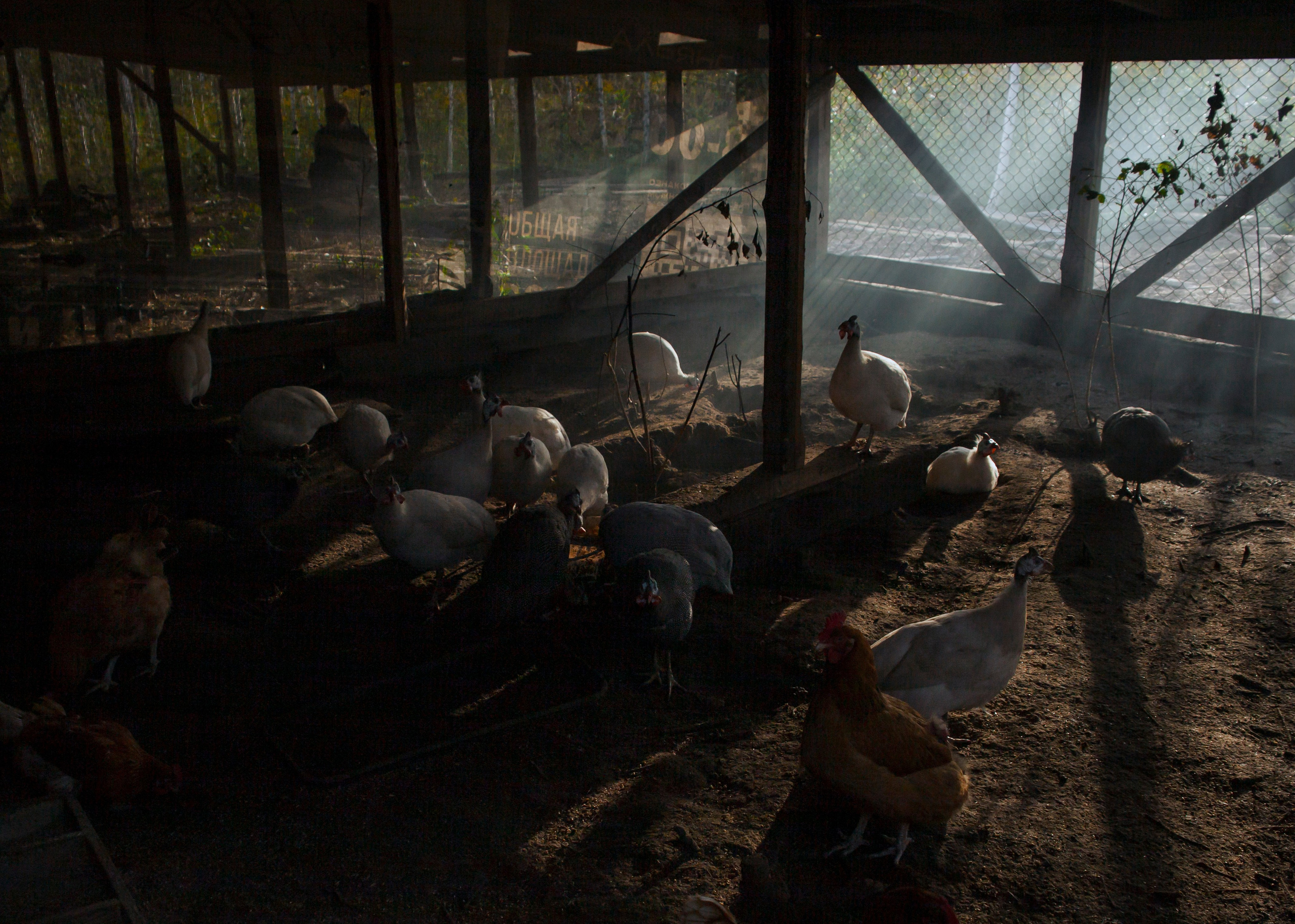 Backstage со съёмок фильма «Reverenсе». Портретный фотограф в Москве Дарья Цезария