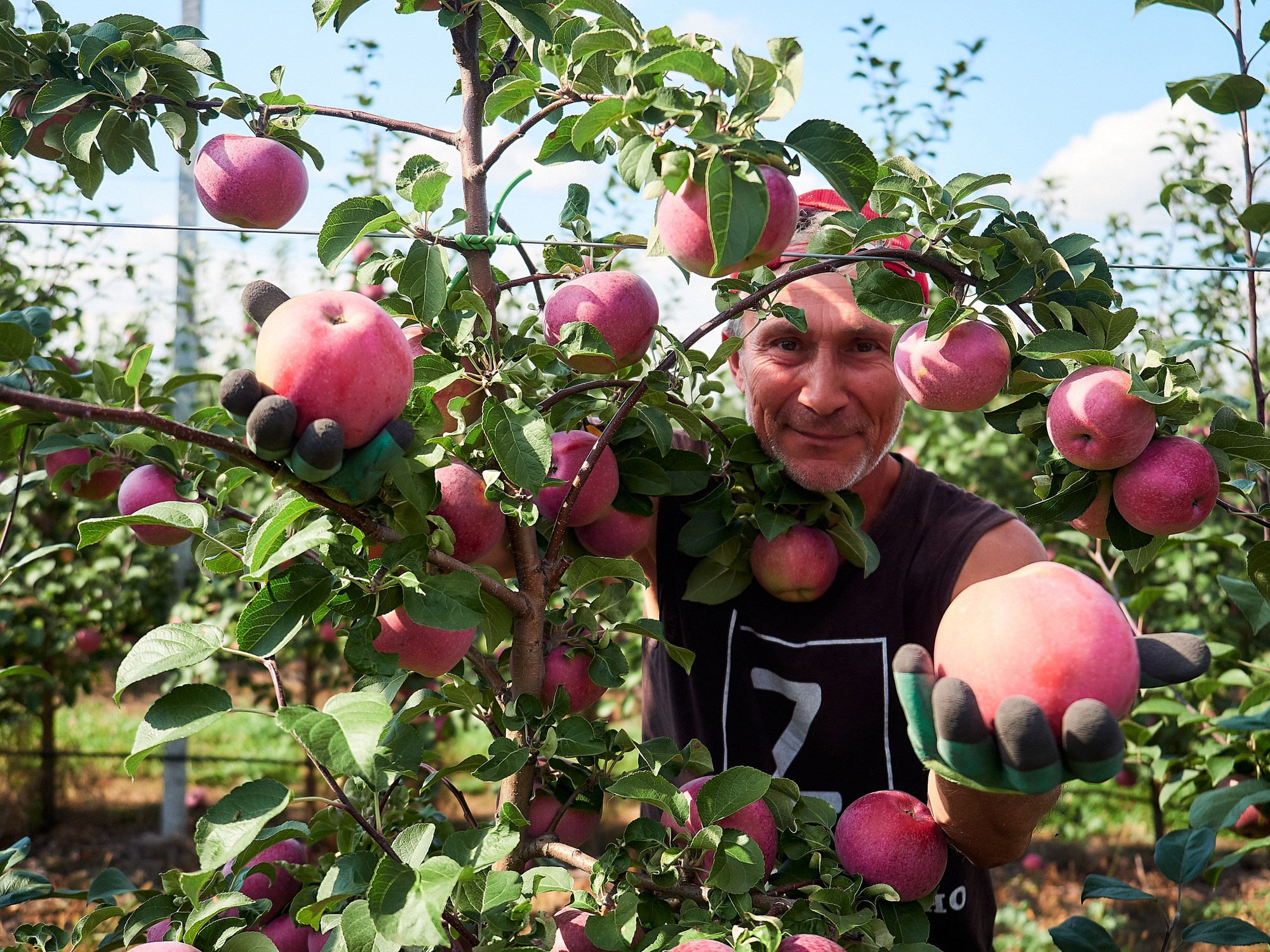 Репортаж. Фотограф Воронеж Александр Нечаев