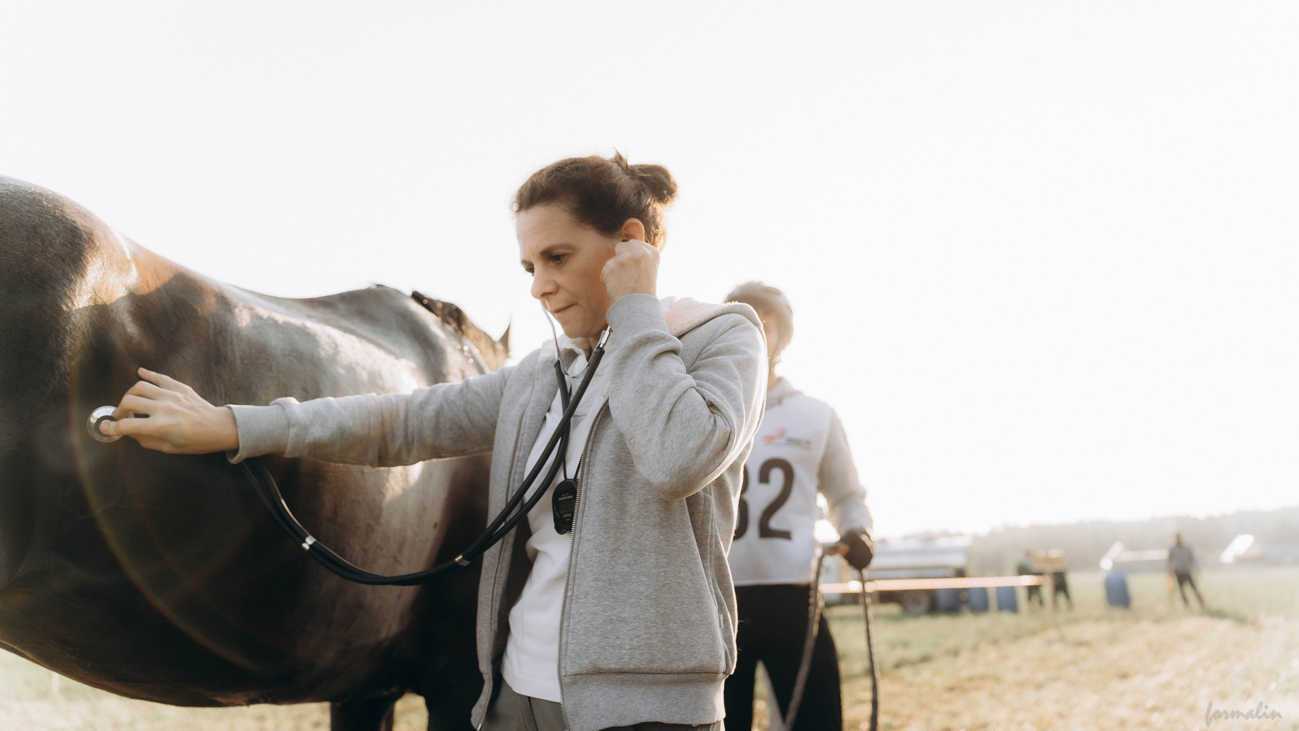 День Коня. Алиса Никитцова | Фотограф в Казани