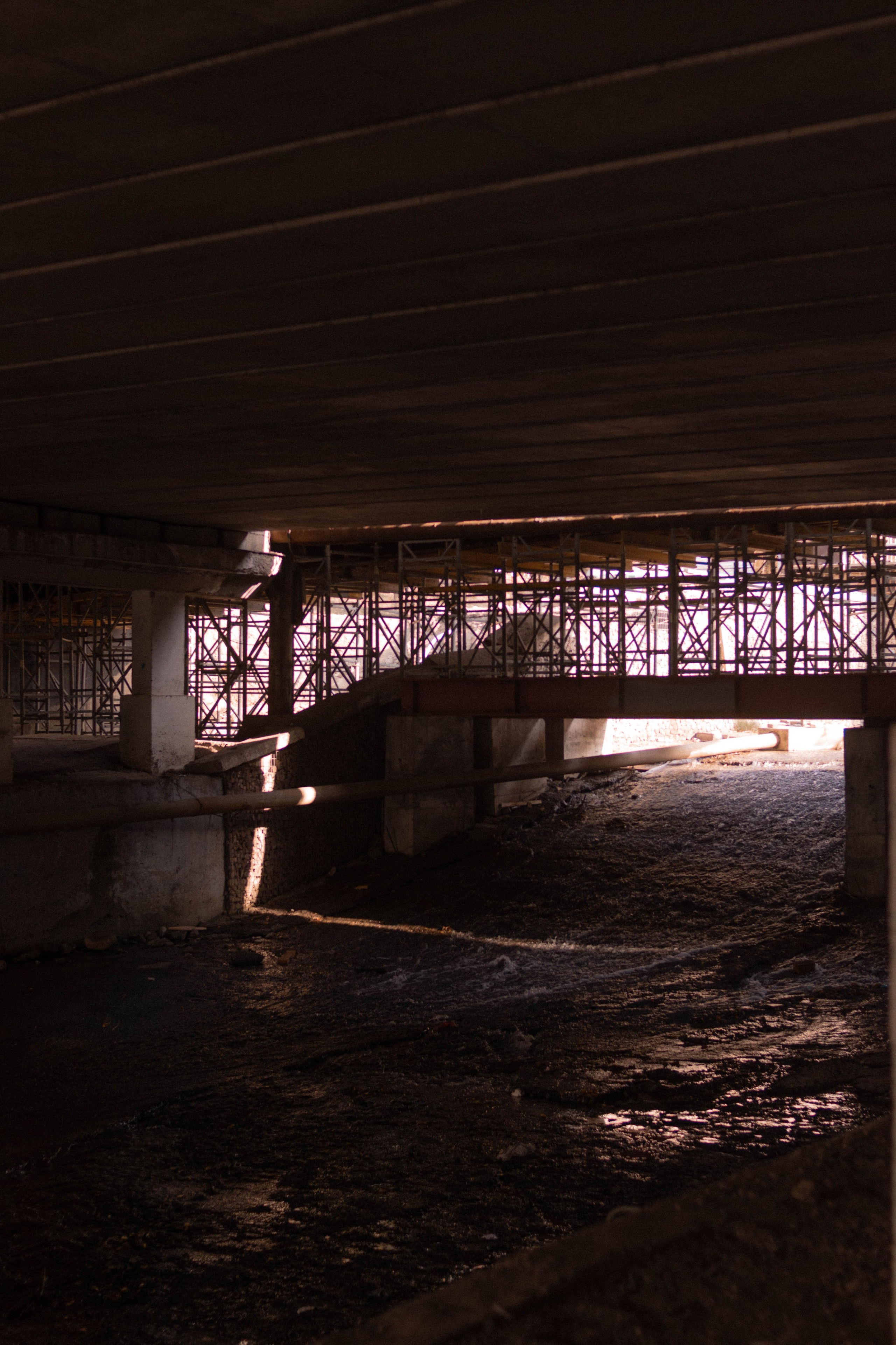 Визуальный дневник. Репортажный фотограф в Алматы Цой Сергей