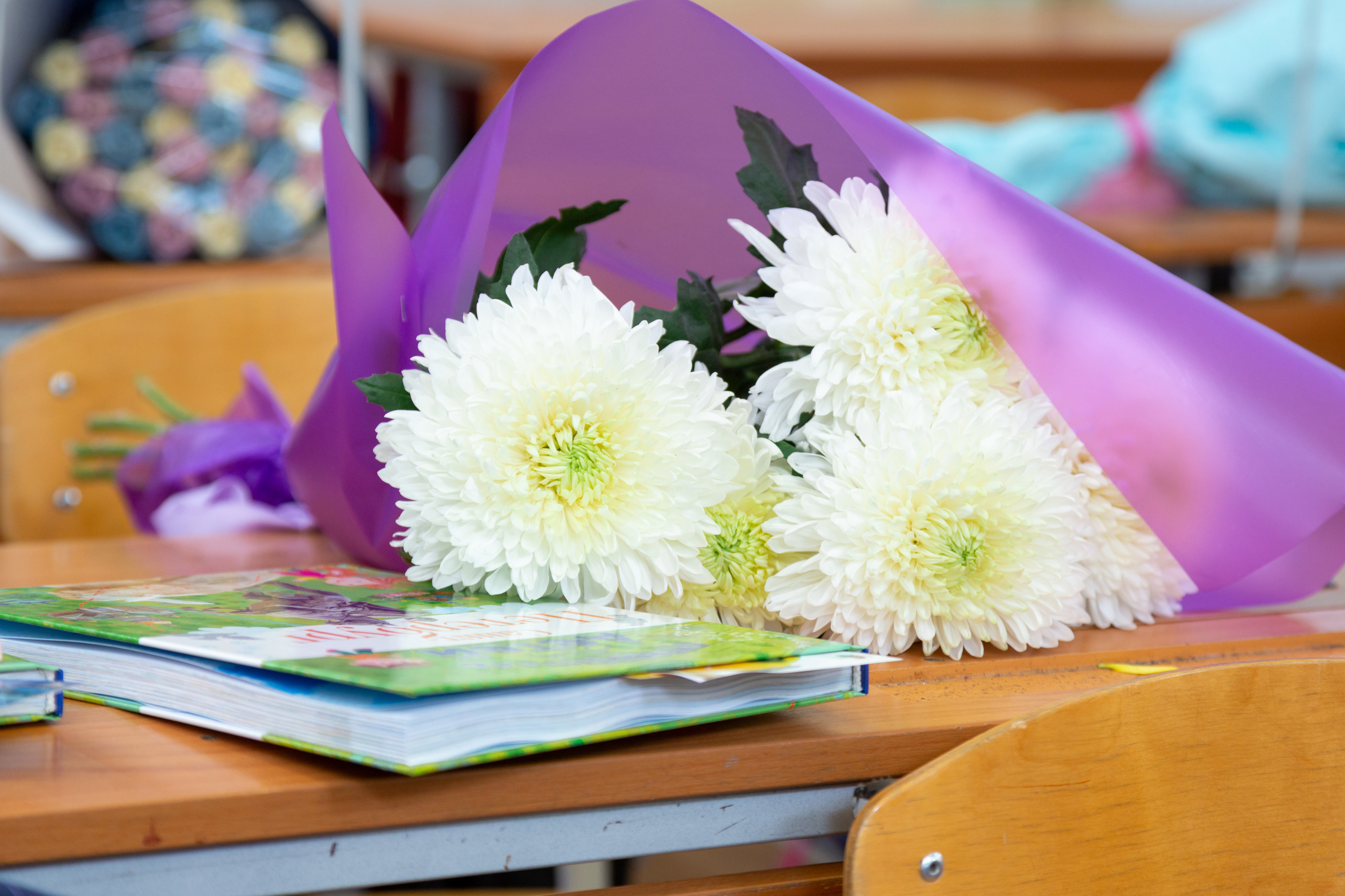 605 Школа. Семейный и детский фотограф в Санкт-Петербурге Пуликов Дмитрий