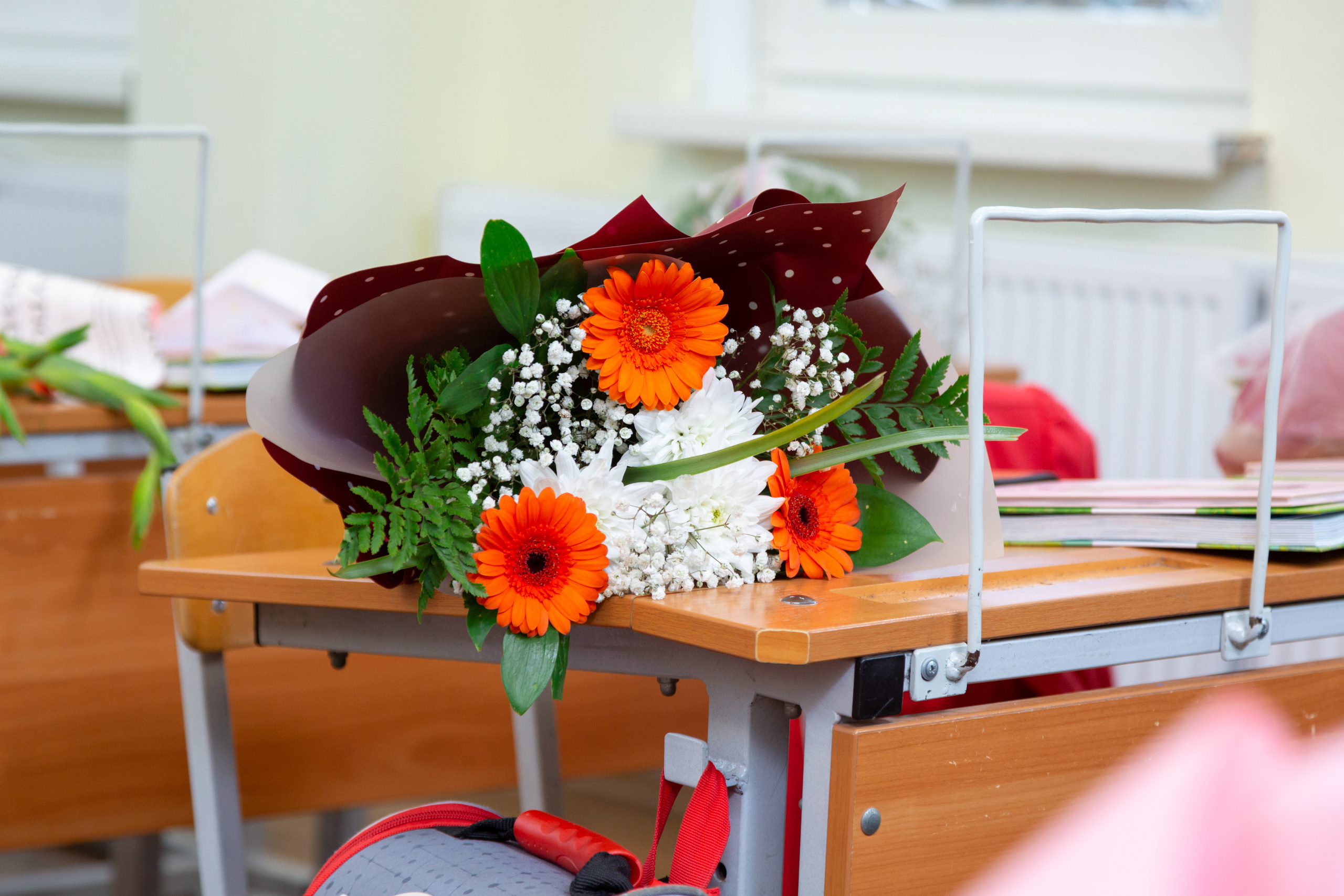 605 Школа. Семейный и детский фотограф в Санкт-Петербурге Пуликов Дмитрий