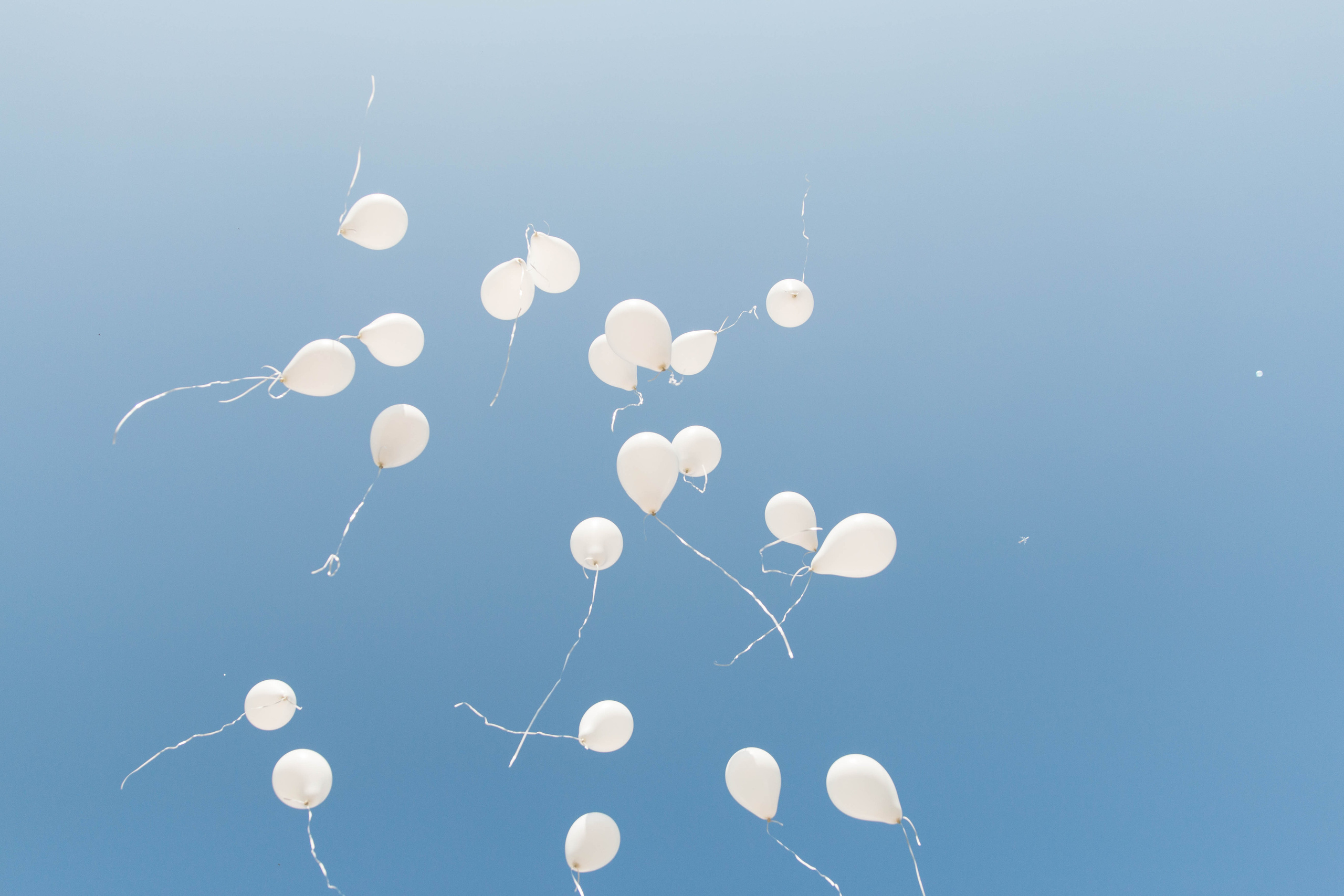 Детский Сад | Школа |Выпускные. Фотограф и Видеограф в Москве Дарья Арсентьева