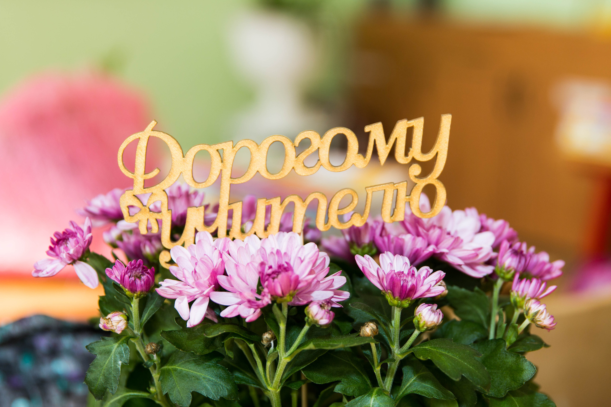 Детский Сад | Школа |Выпускные. Фотограф и Видеограф в Москве Дарья Арсентьева