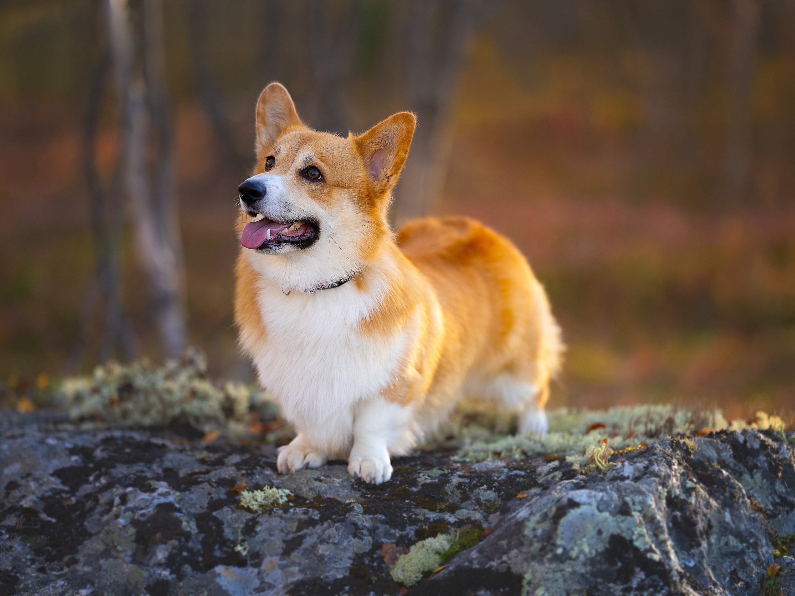 Юля и Шэн. Главная