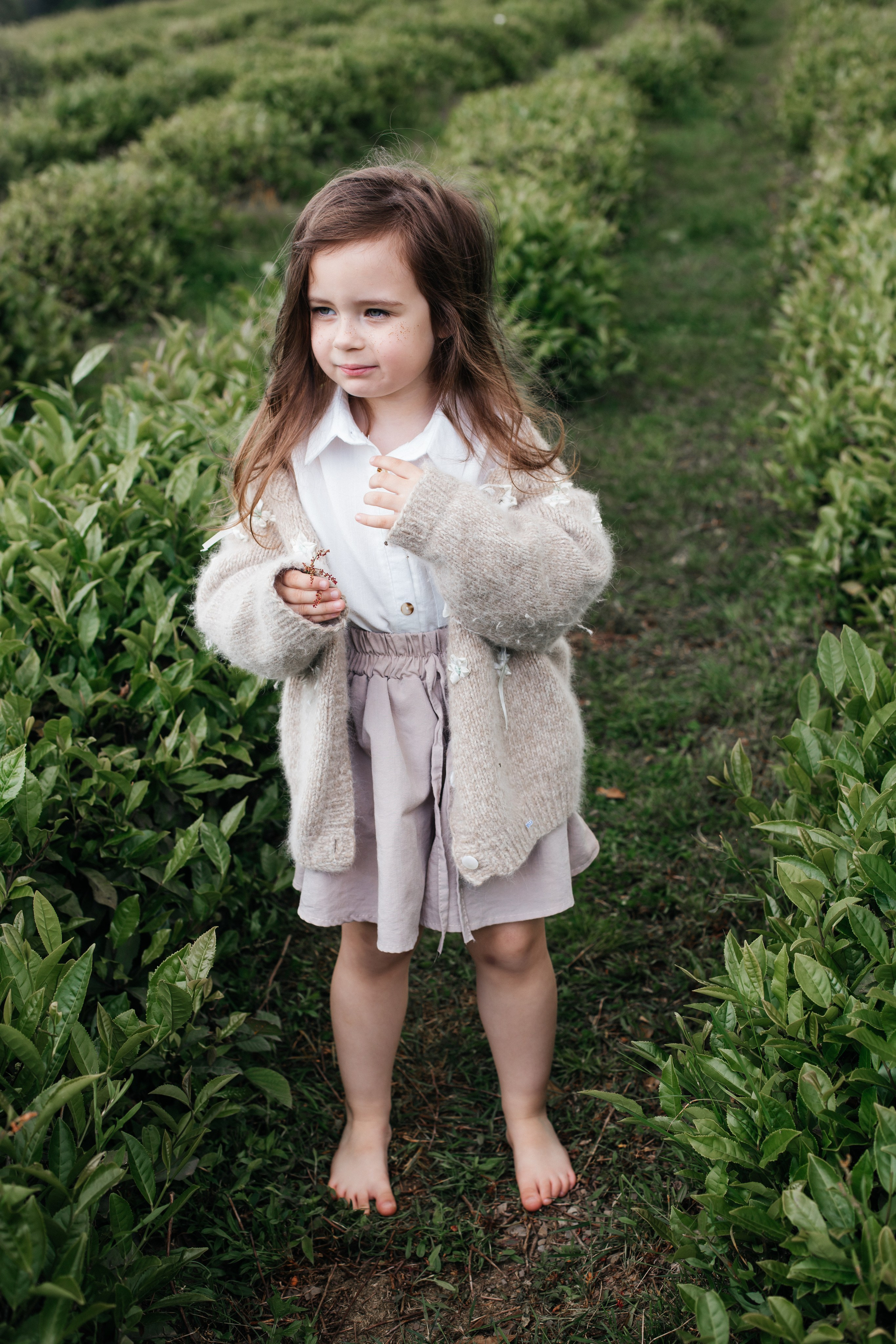 Tea plantation. Efimova Model Agency