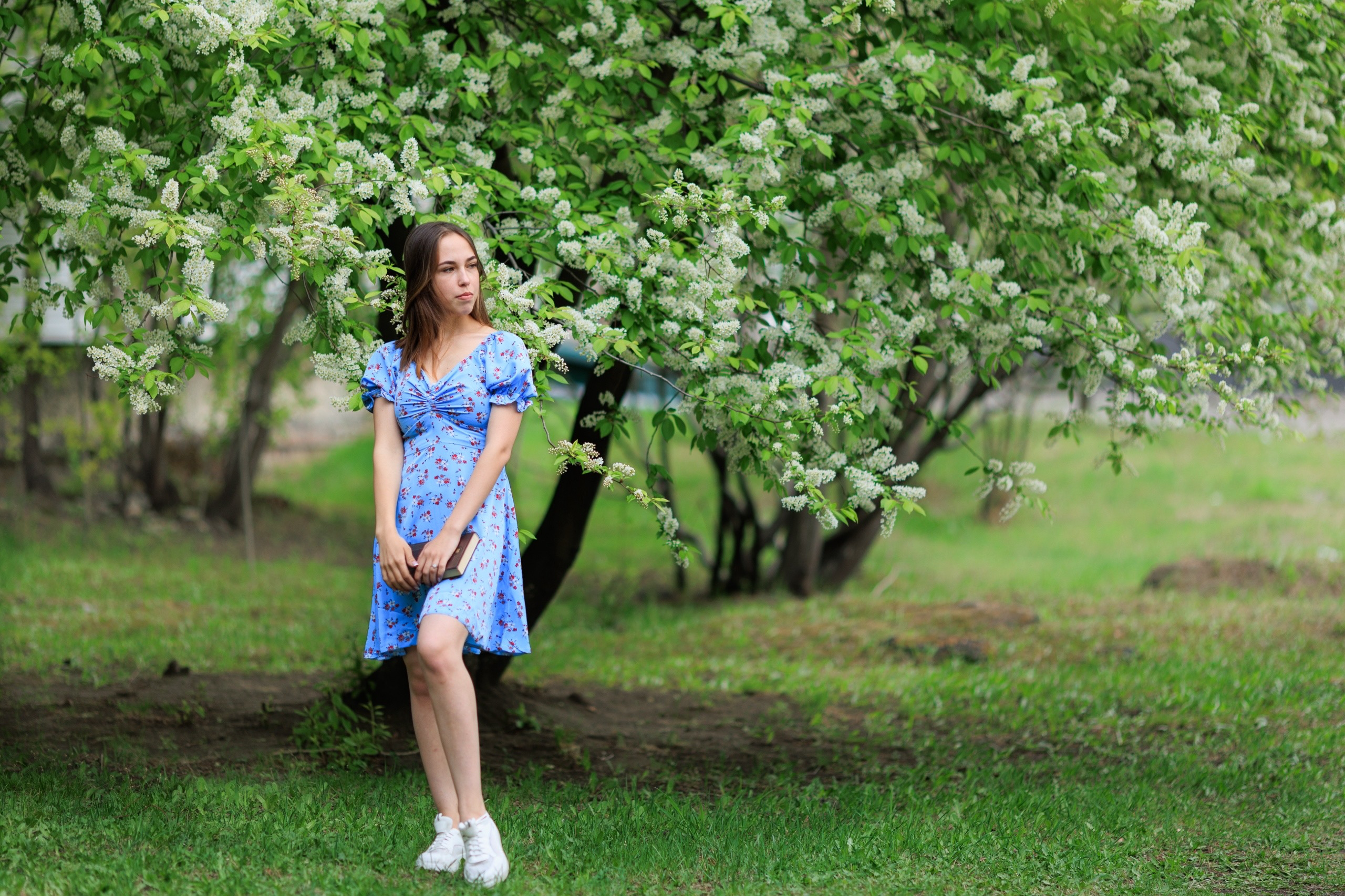 Цветение. Фотограф в Чите Анна Осадчая