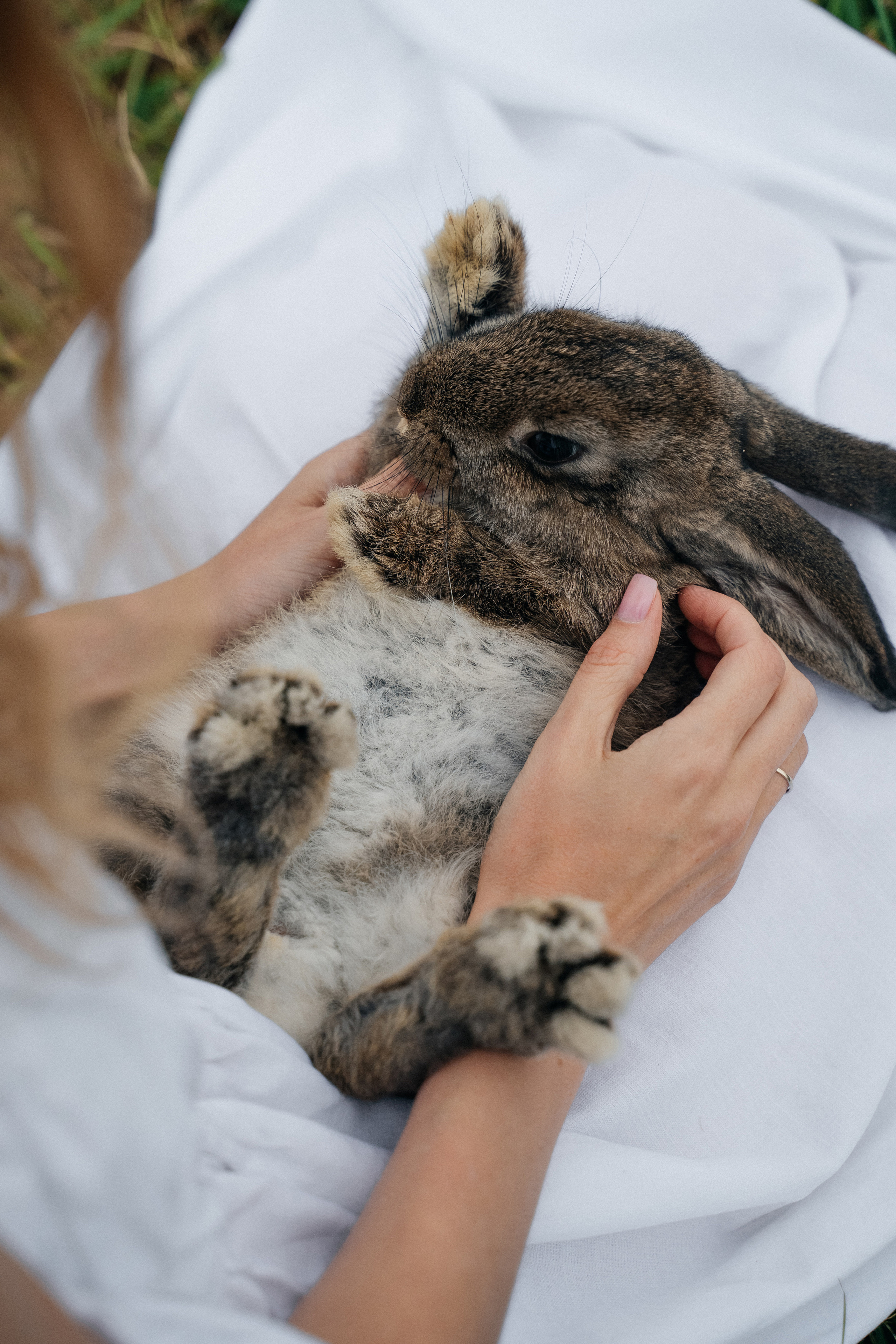 На природе. Свадебный фотограф в Петрозаводске Сергей Кокорев