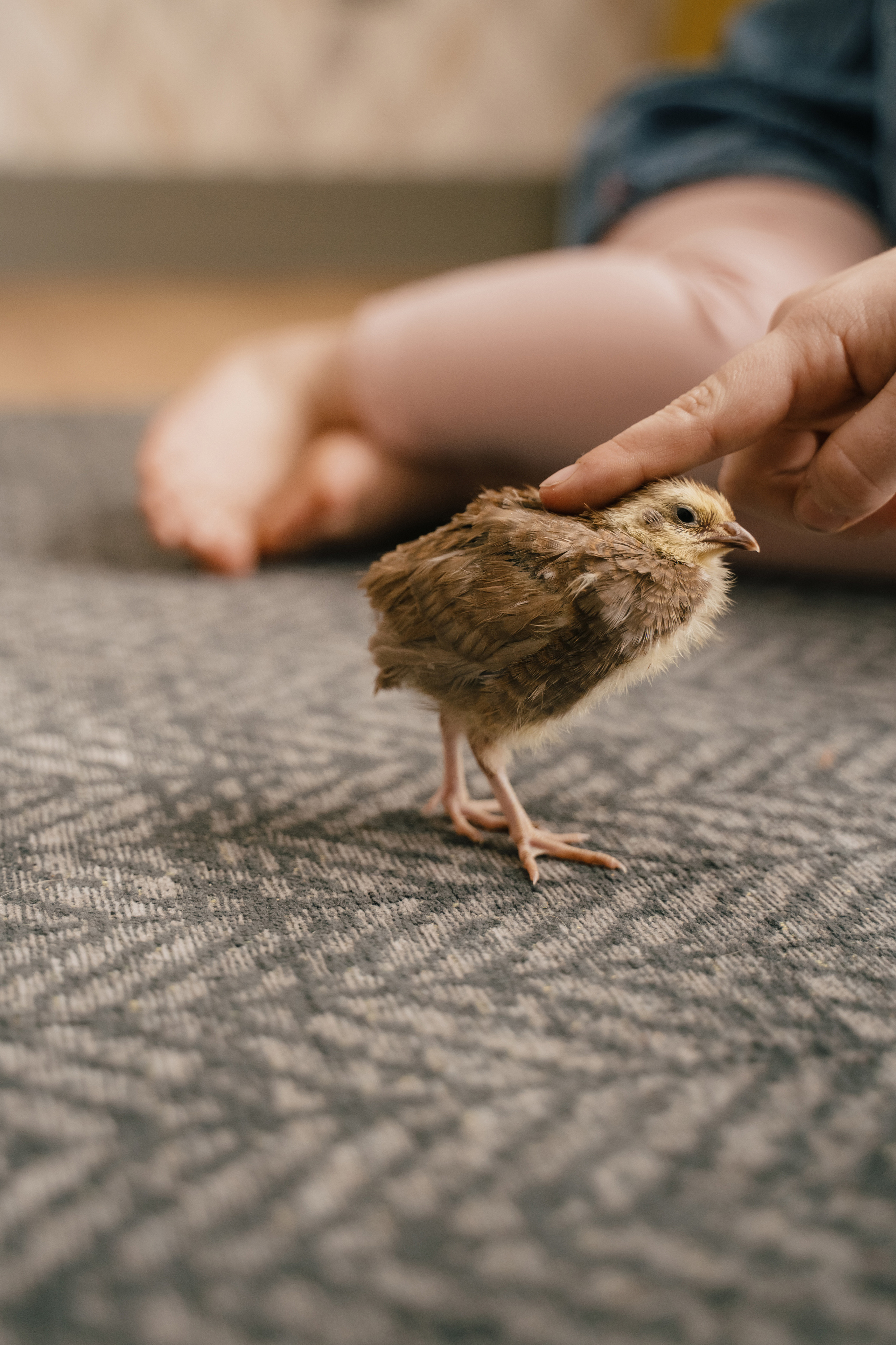 Денис и Маша. Свадебный фотограф в Петрозаводске Сергей Кокорев