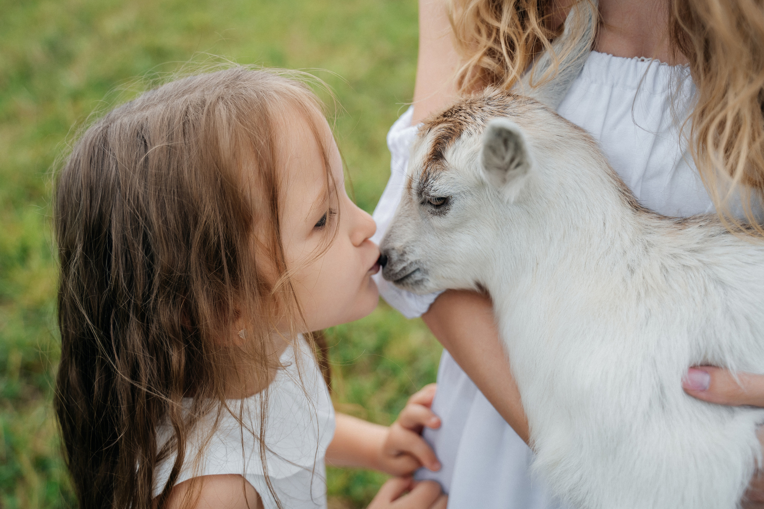 На природе. Свадебный фотограф в Петрозаводске Сергей Кокорев