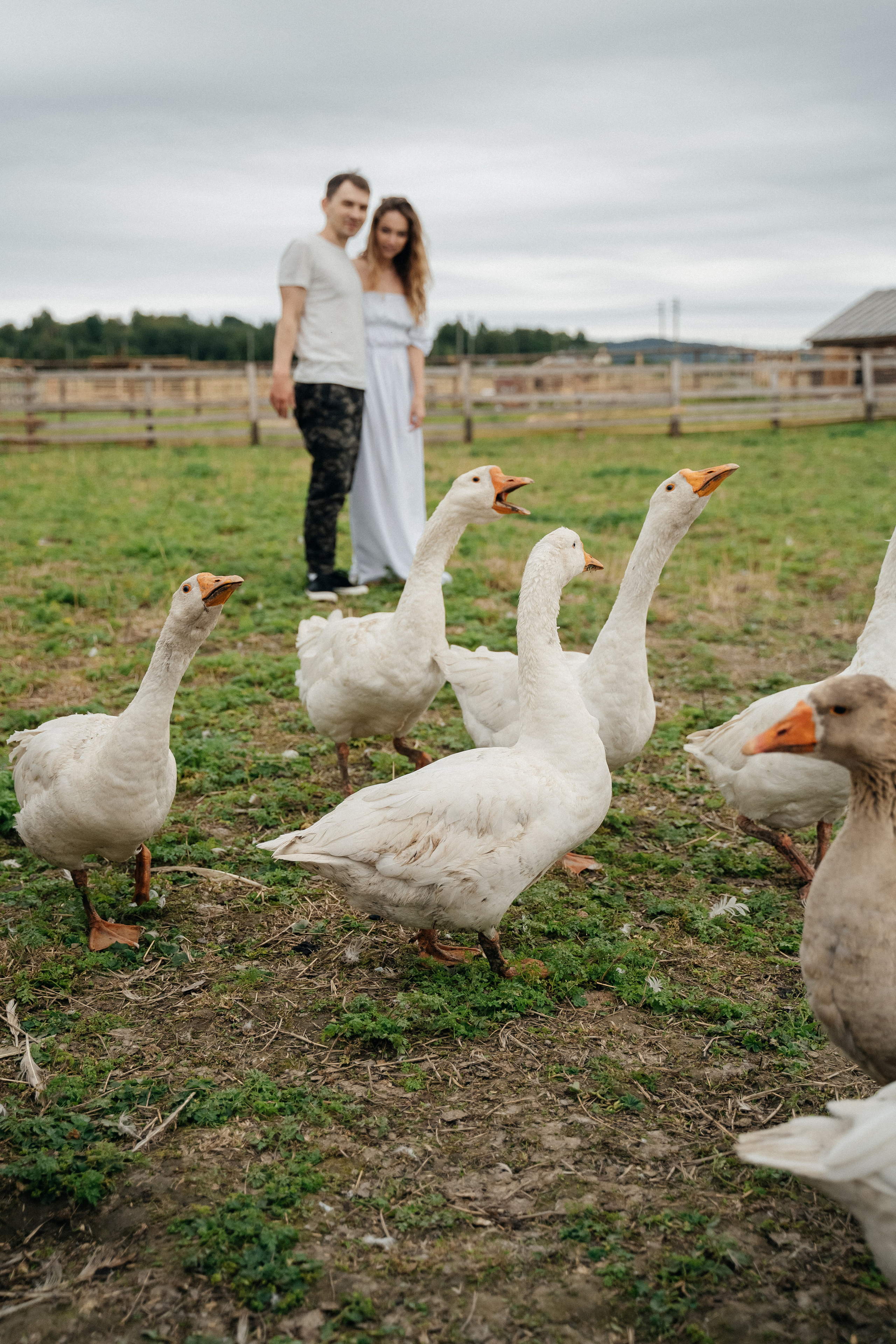 На природе. Свадебный фотограф в Петрозаводске Сергей Кокорев