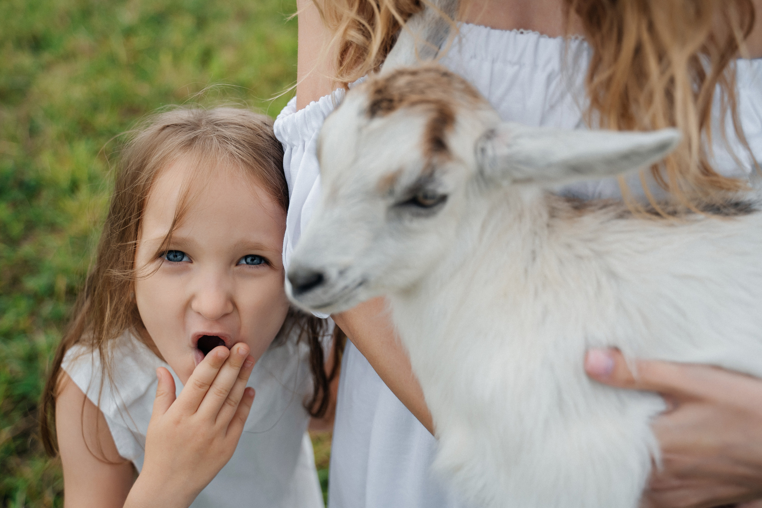 На природе. Свадебный фотограф в Петрозаводске Сергей Кокорев