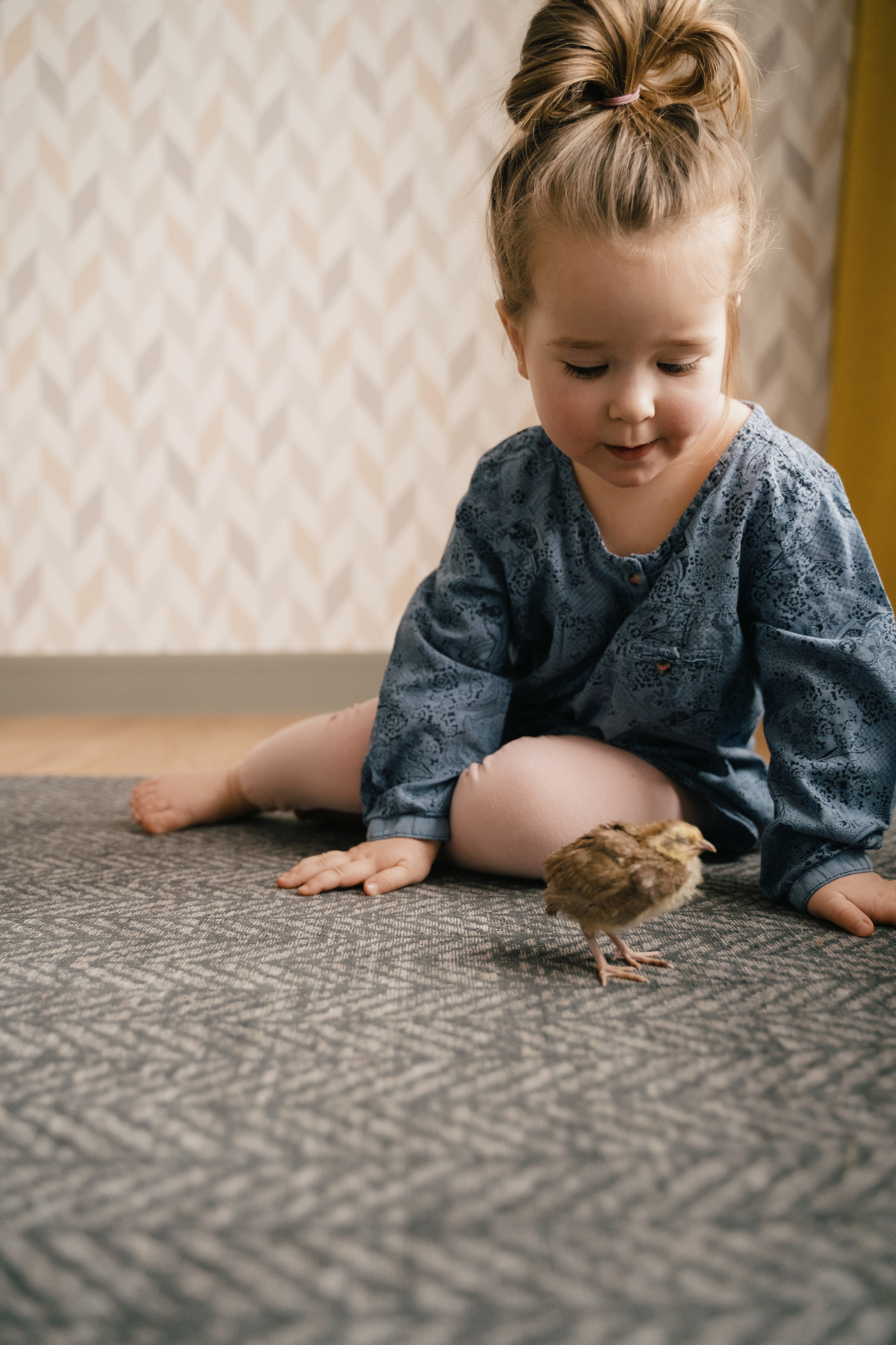 Денис и Маша. Свадебный фотограф в Петрозаводске Сергей Кокорев