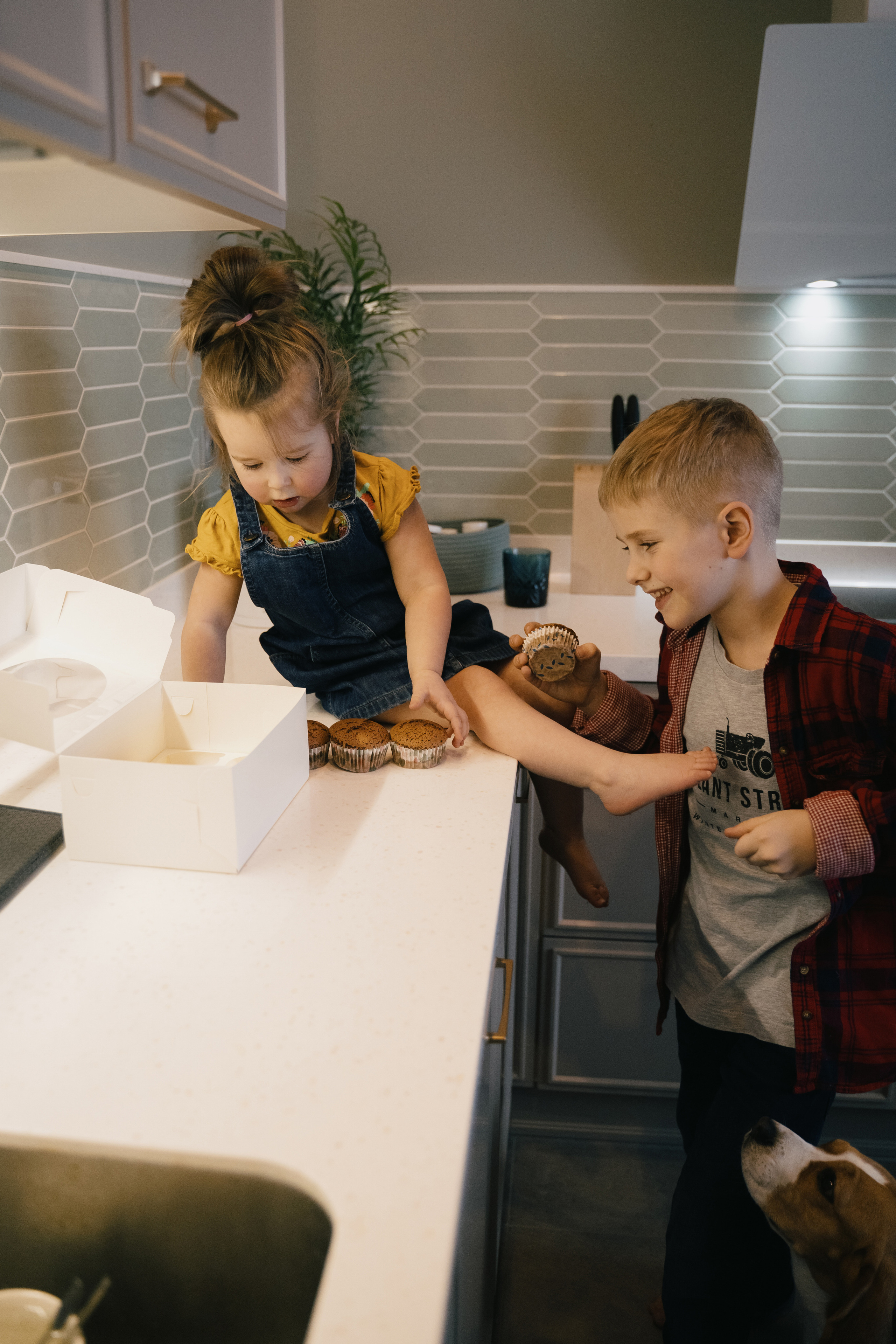 Денис и Маша. Свадебный фотограф в Петрозаводске Сергей Кокорев