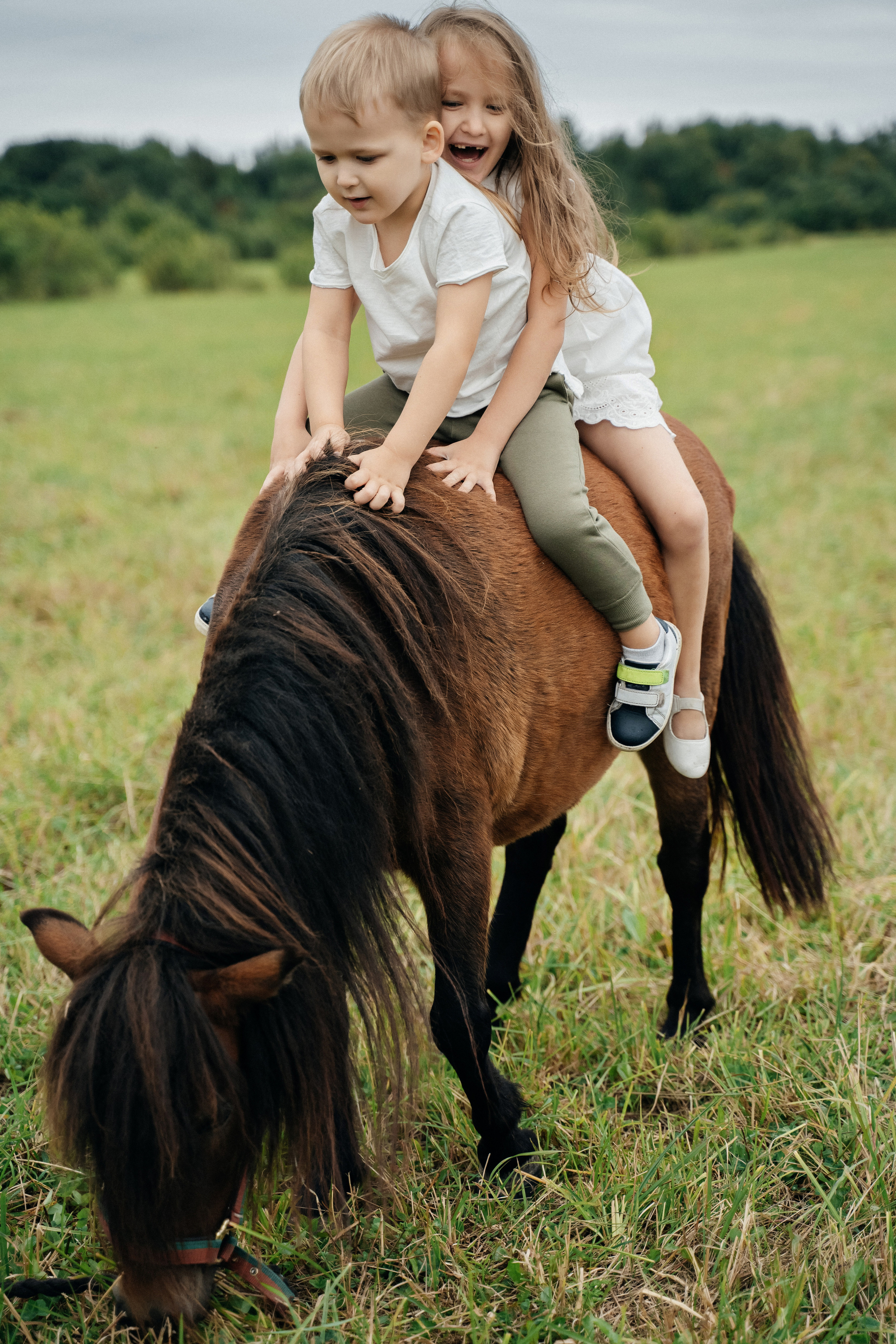 На природе. Свадебный фотограф в Петрозаводске Сергей Кокорев