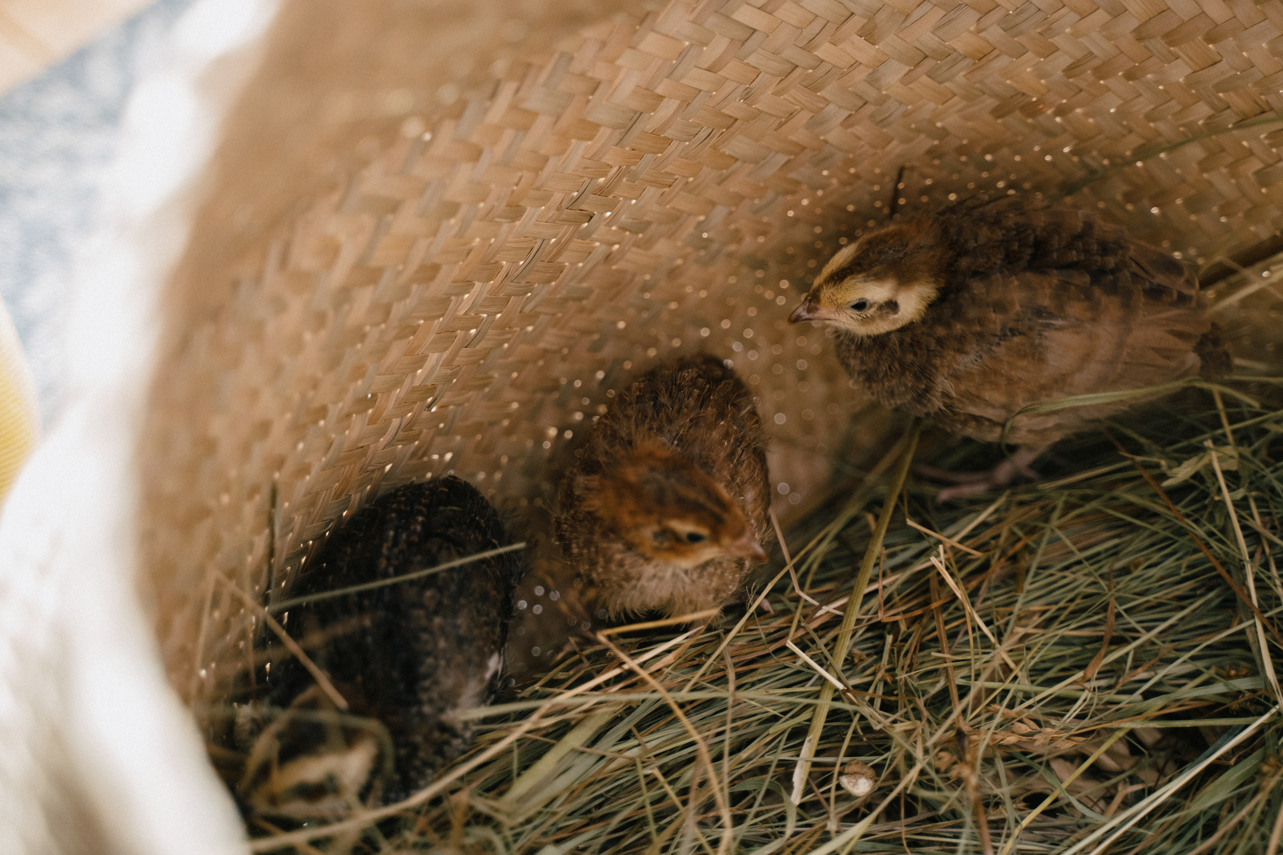 Денис и Маша. Свадебный фотограф в Петрозаводске Сергей Кокорев