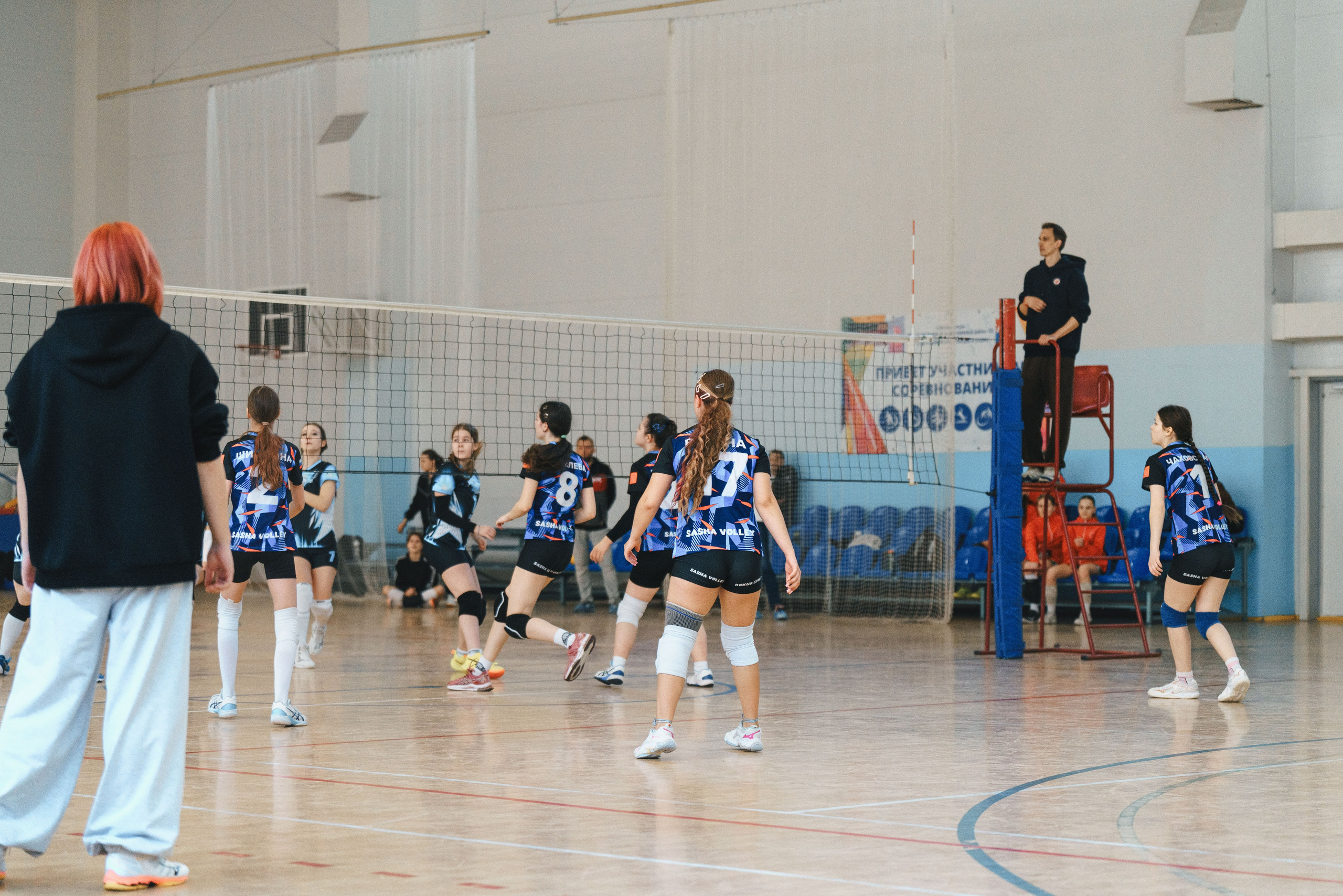 Волейбол торус. Фотограф-анималист в Санкт-Петербурге