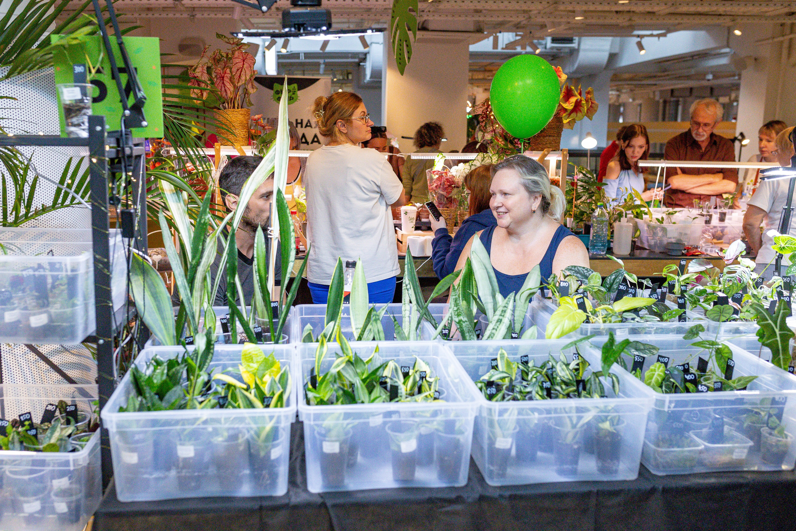 Growbox 5лет. Александра Куликова фотограф, Москва