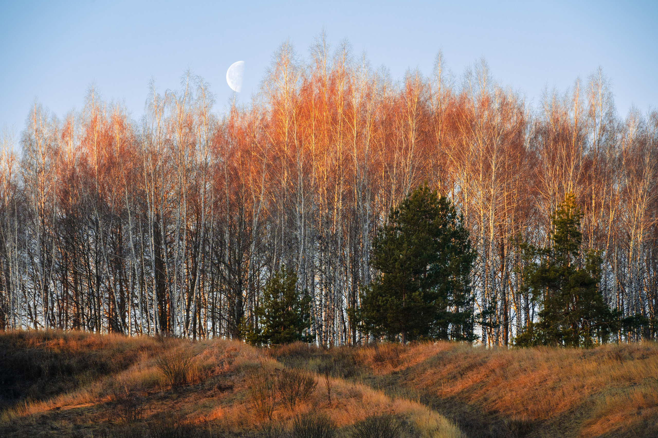 Красивая Меча. Фотограф и видеооператор в Туле | Даниил Рыбак